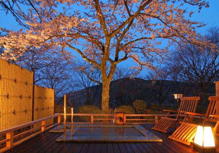 View - Tắm nước khoáng nóng từ núi Hakone tại ryokan cổ 130 tuổi | Báo Dân trí