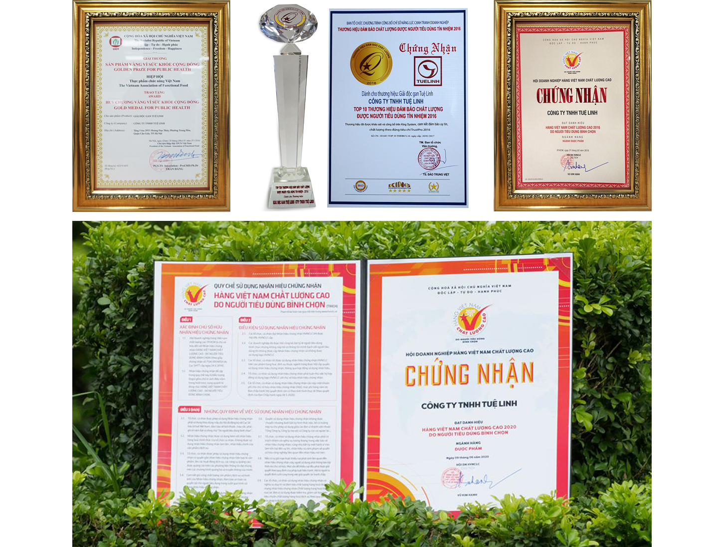 Hành trình 17 năm nâng tầm kho thuốc trời cho của người Việt - 15 Hành trình 17 năm nâng tầm kho thuốc trời cho của người Việt - 15