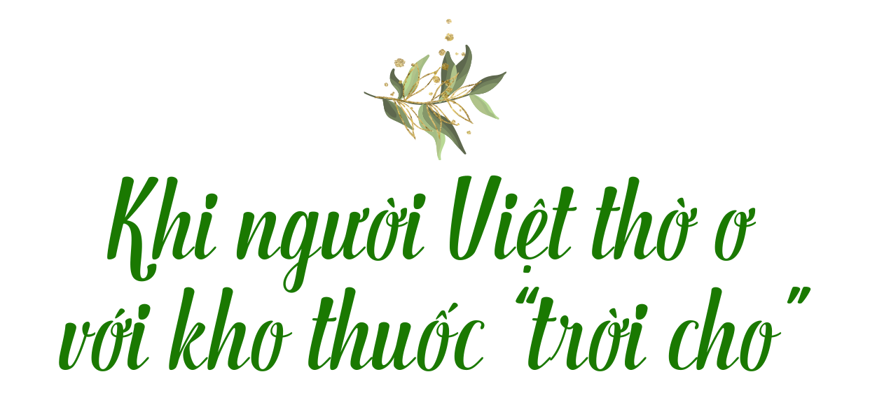 Hành trình 17 năm nâng tầm kho thuốc trời cho của người Việt - 2