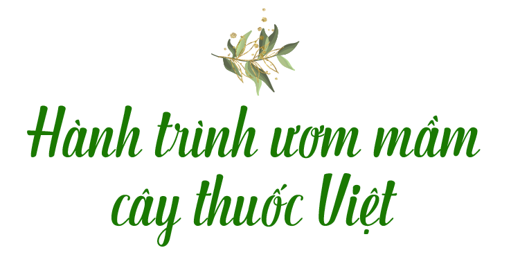 Hành trình 17 năm nâng tầm kho thuốc trời cho của người Việt - 5 Hành trình 17 năm nâng tầm kho thuốc trời cho của người Việt - 5
