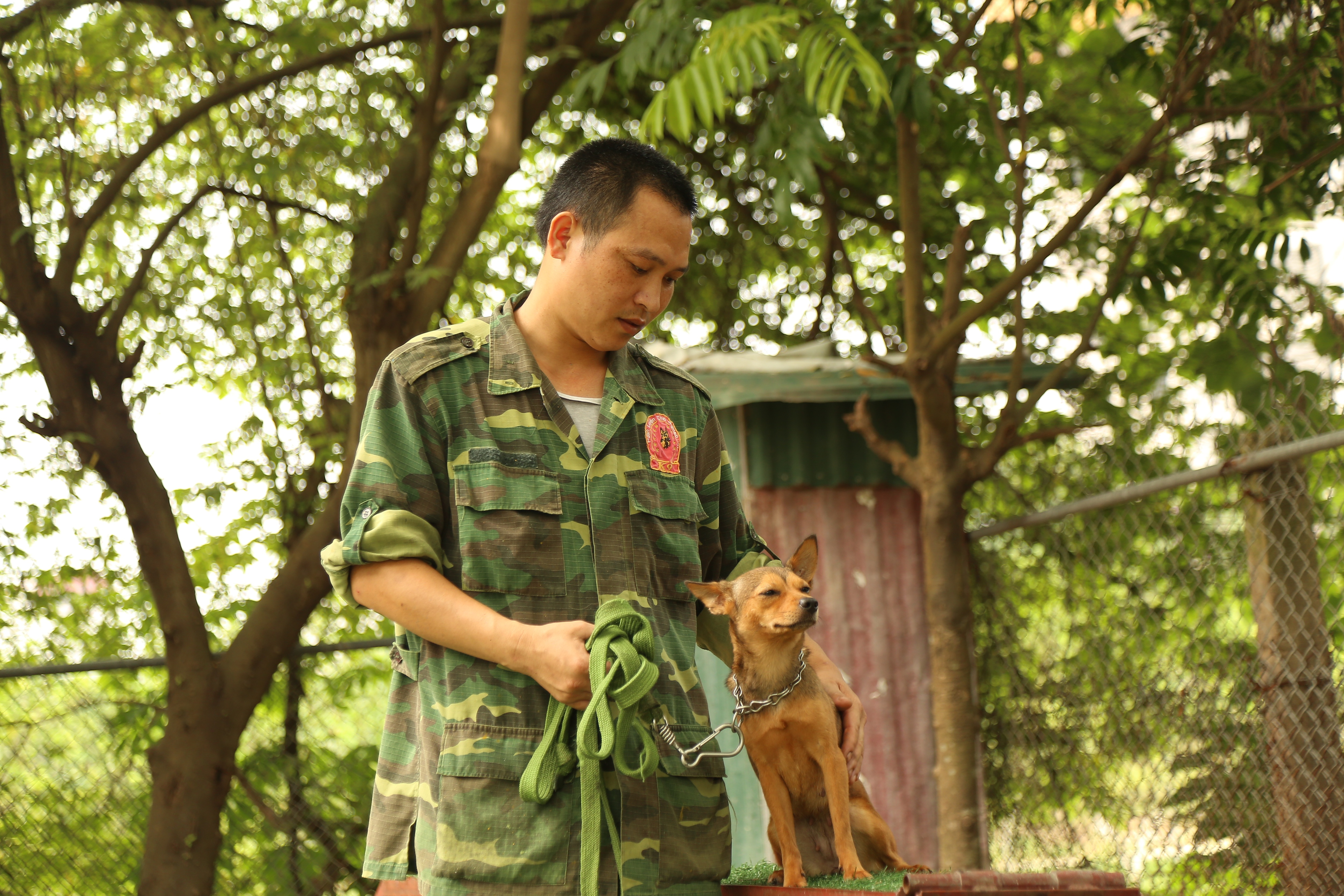 Hà Nội: Thu nhập 20-30 triệu đồng/tháng từ nghề huấn luyện chó - 7