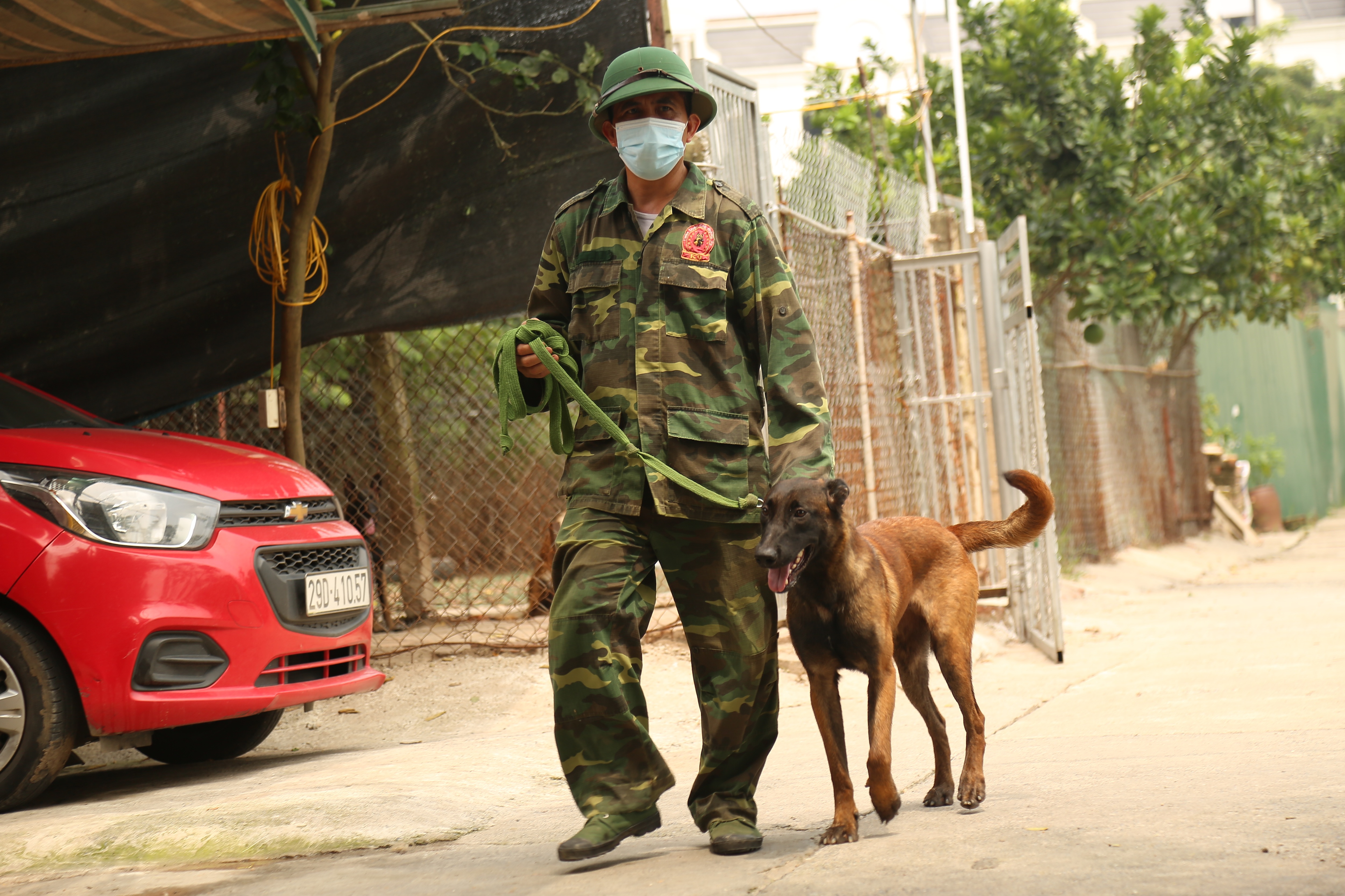 Hà Nội: Thu nhập 20-30 triệu đồng/tháng từ nghề huấn luyện chó - 1