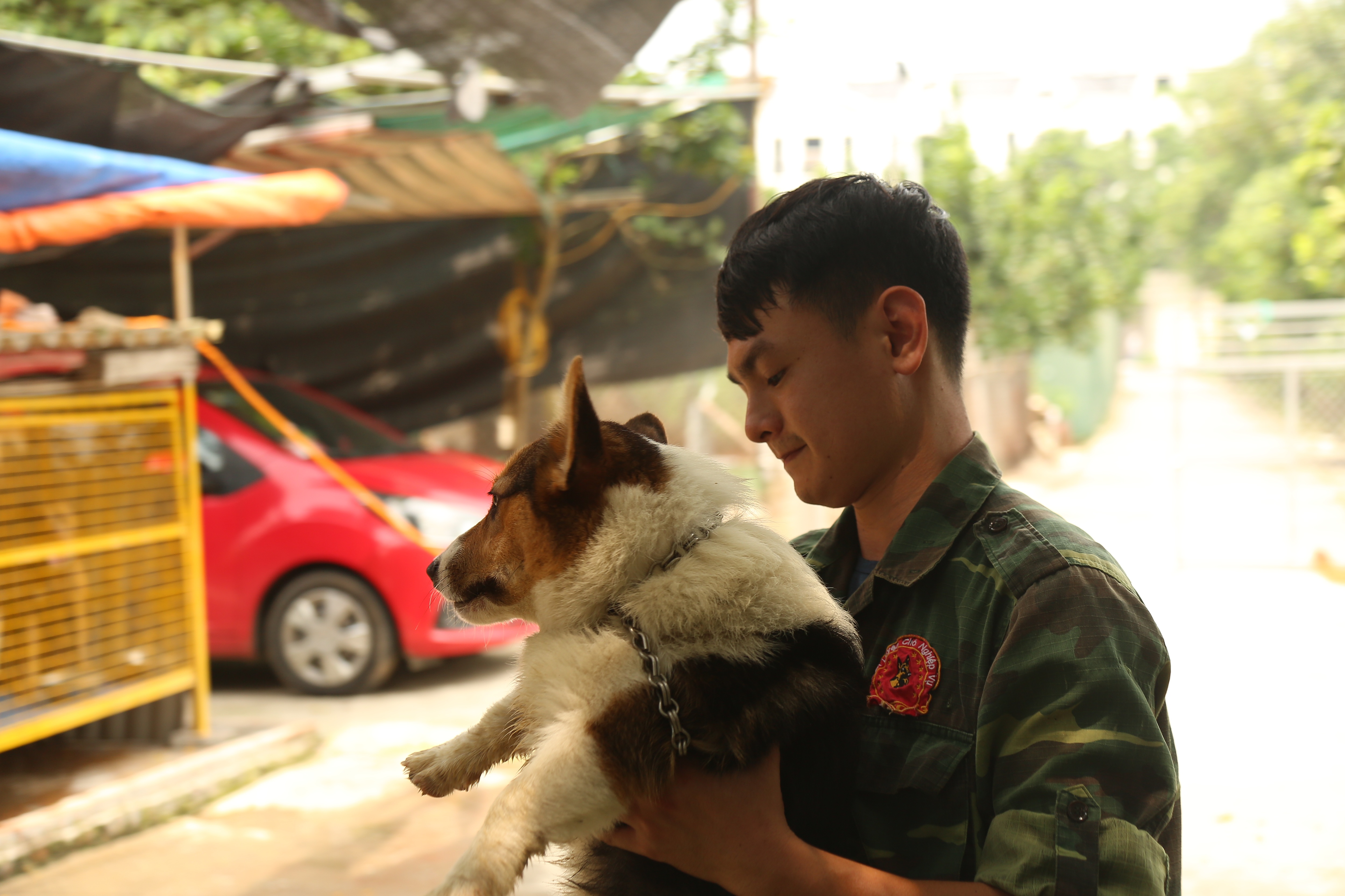 Hà Nội: Thu nhập 20-30 triệu đồng/tháng từ nghề huấn luyện chó - 5