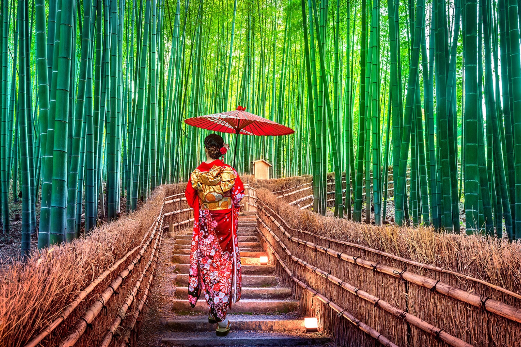 Lạc lối trong rừng tre Arashiyama - Niềm tự hào của cố đô Kyoto