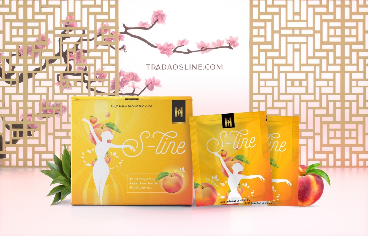 Phương pháp giảm cân và sở hữu thân hình thon gọn hiệu quả - 2