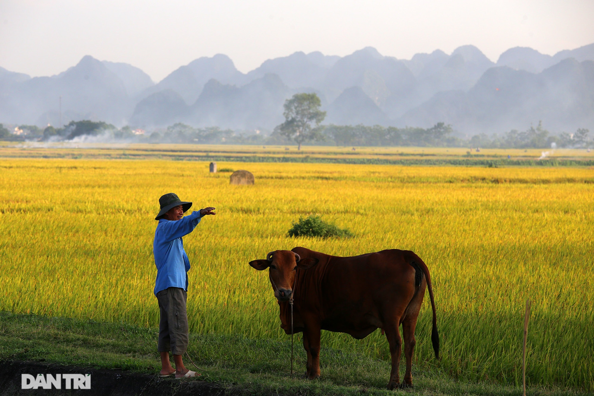 Cảnh quê vùng ngoại ô Hà Nội với những đồng lúa xanh ngắt, con đường đất láng bóng dưới hàng cây xanh um tím. Đây chính là những góc nhìn đẹp nhất của Hà Nội mà bạn không thể bỏ qua.