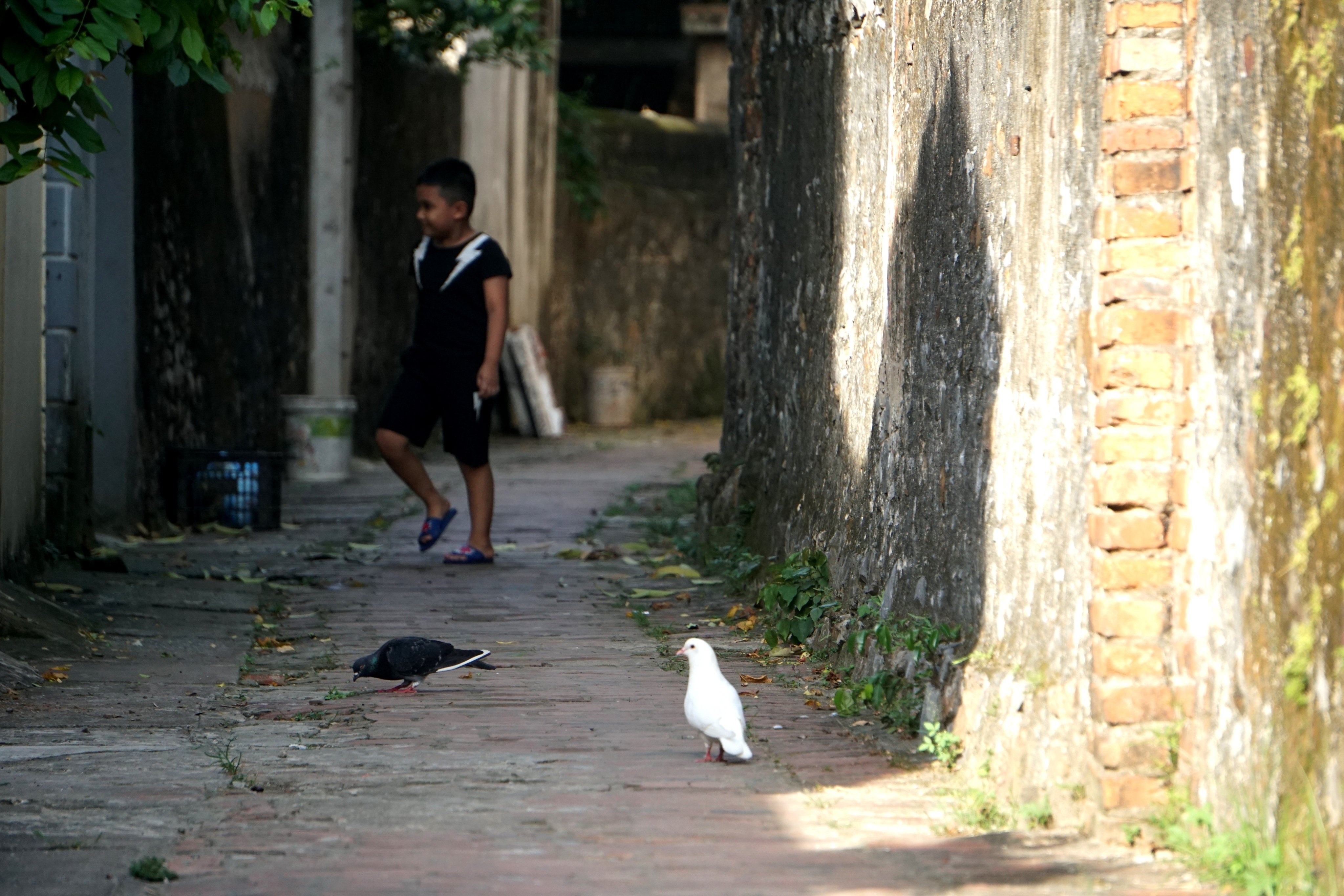 The idyllic features in one of the 10 most beautiful ancient villages in Vietnam - 14