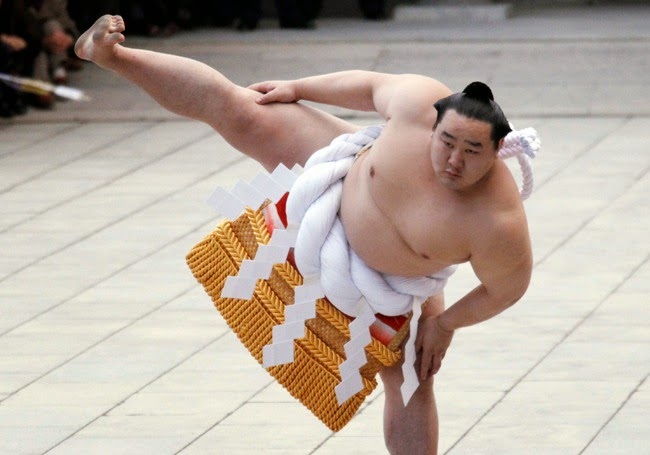Tìm hiểu về môn đấu vật sumo truyền thống ở Nhật Bản - 5
