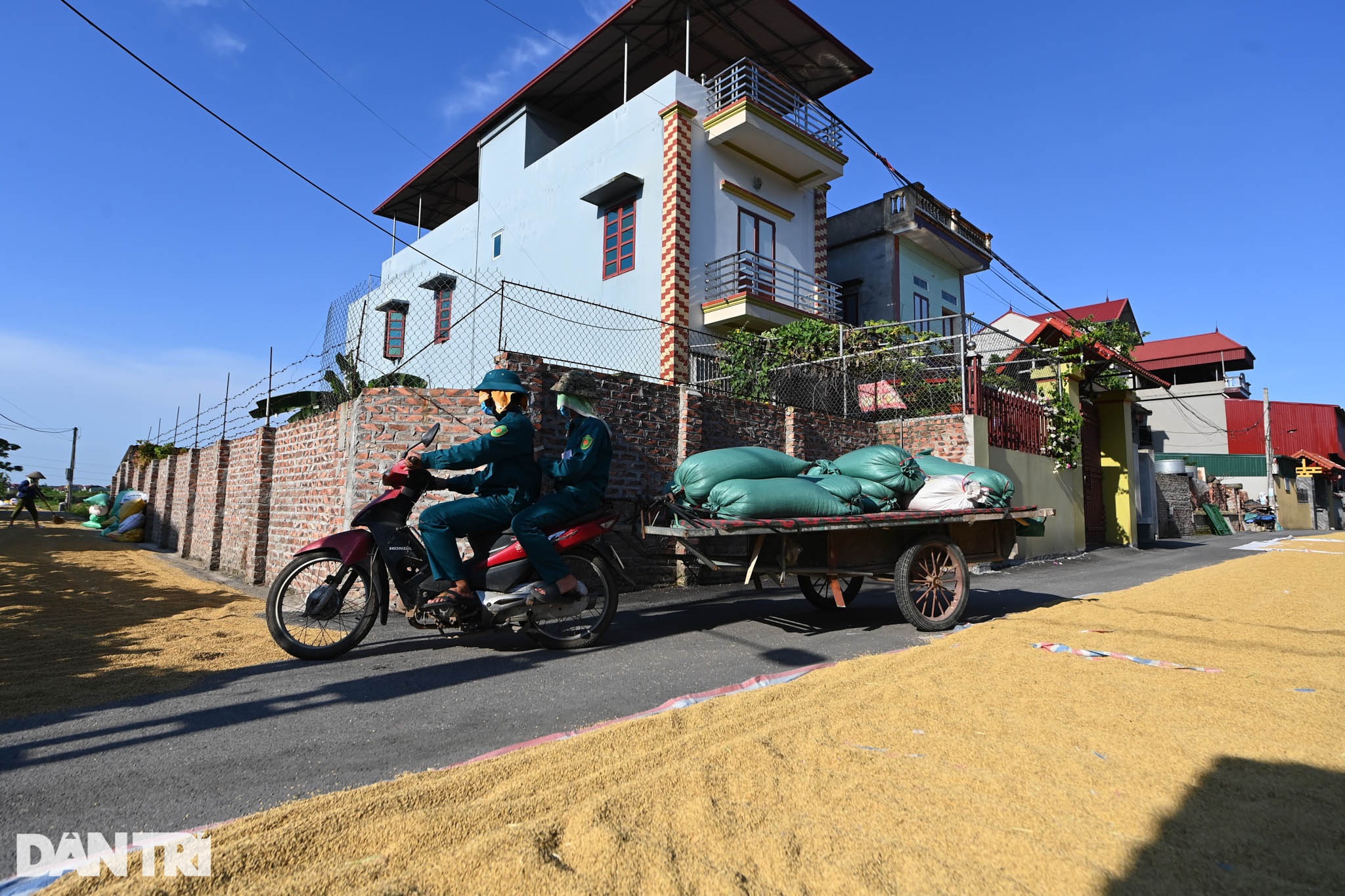 Tâm dịch Bắc Ninh: Nông dân không ra đồng, lúa và hoa màu tự chất đầy nhà - 11