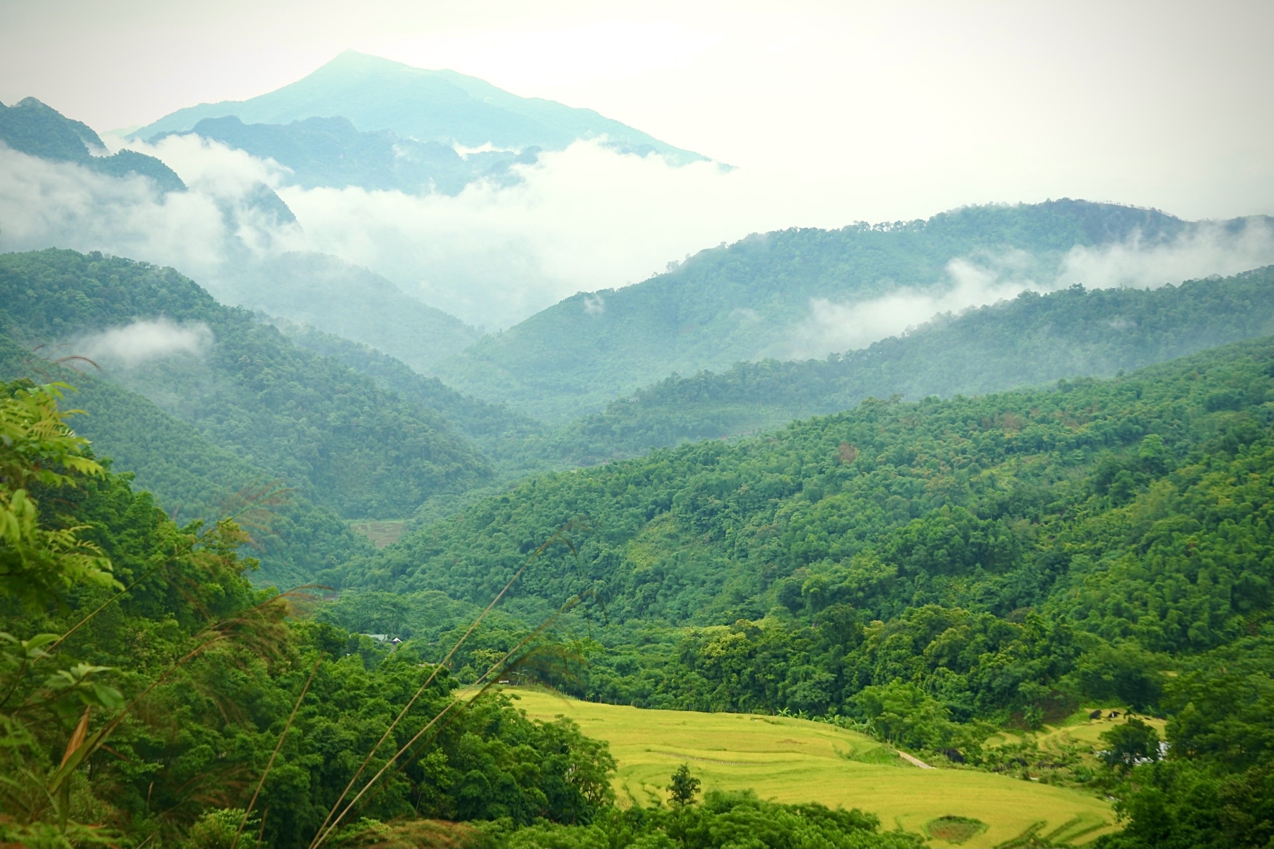 Brilliant golden season on the top of Pu Luong - 13