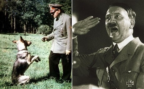 Bí mật về đội quân chó biết nói của Đức Quốc xã - 2