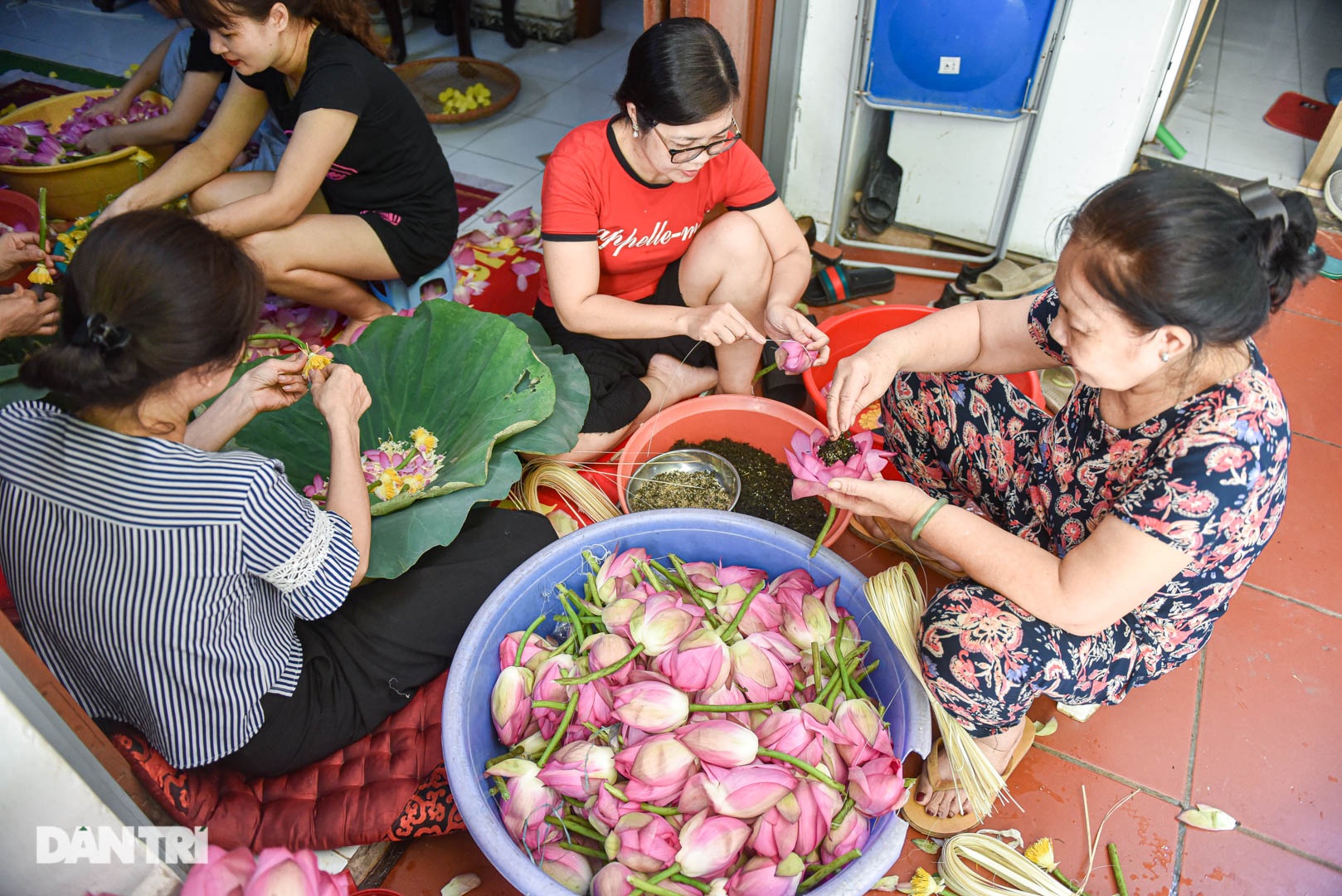 Hanoi family for 7 decades making premium tea, priced at tens of millions/kg - 2