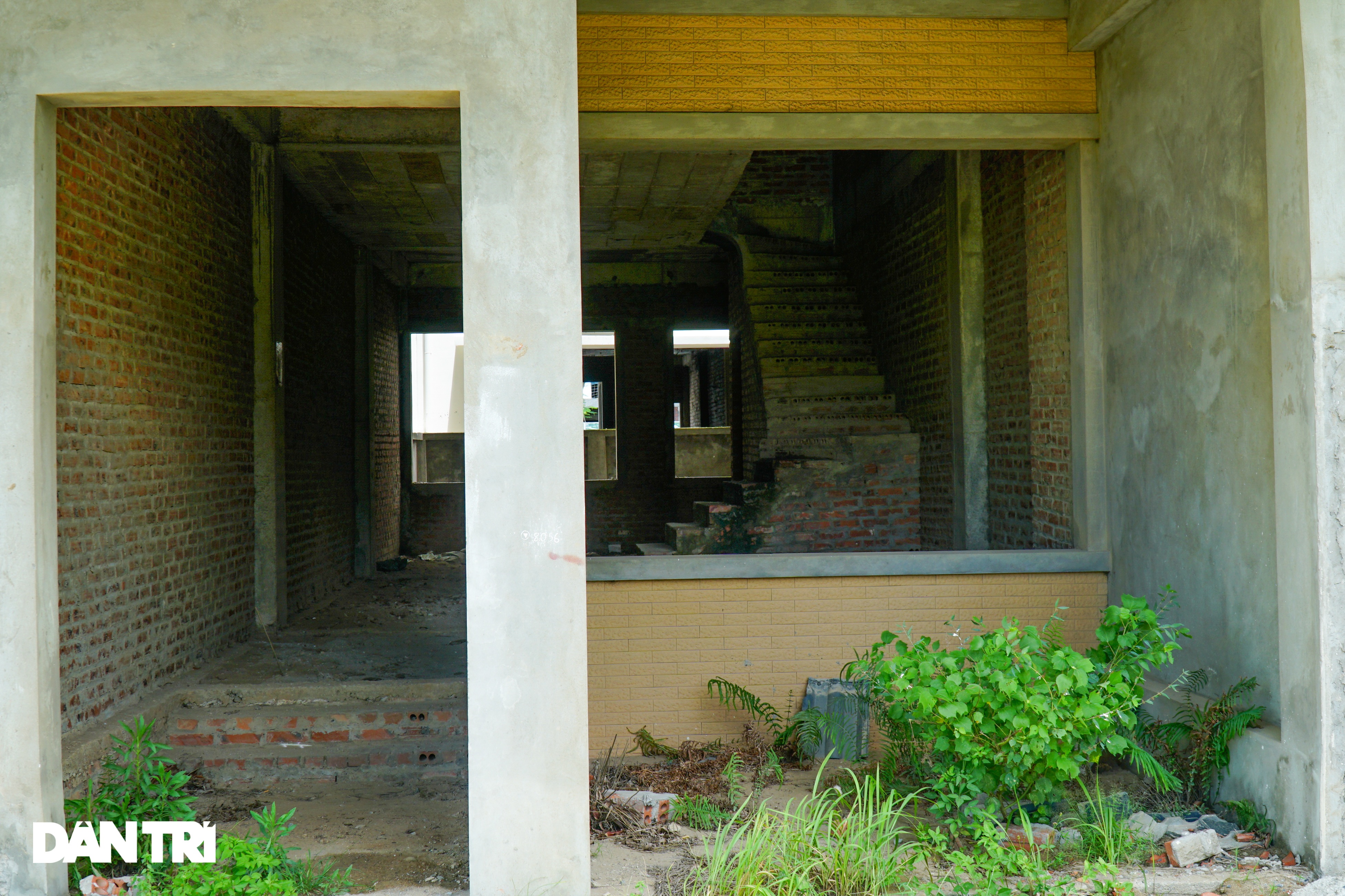 Mục sở thị hàng trăm căn biệt thự bỏ hoang, rêu mốc tại một huyện ở Hà Nội - 4