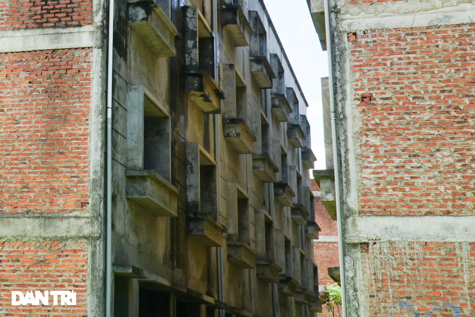 Mục sở thị hàng trăm căn biệt thự bỏ hoang, rêu mốc tại một huyện ở Hà Nội - 3