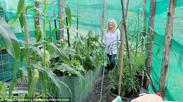 Cặp đôi làm nhà từ container, sống không mất tiền điện, nước mỗi tháng - 10