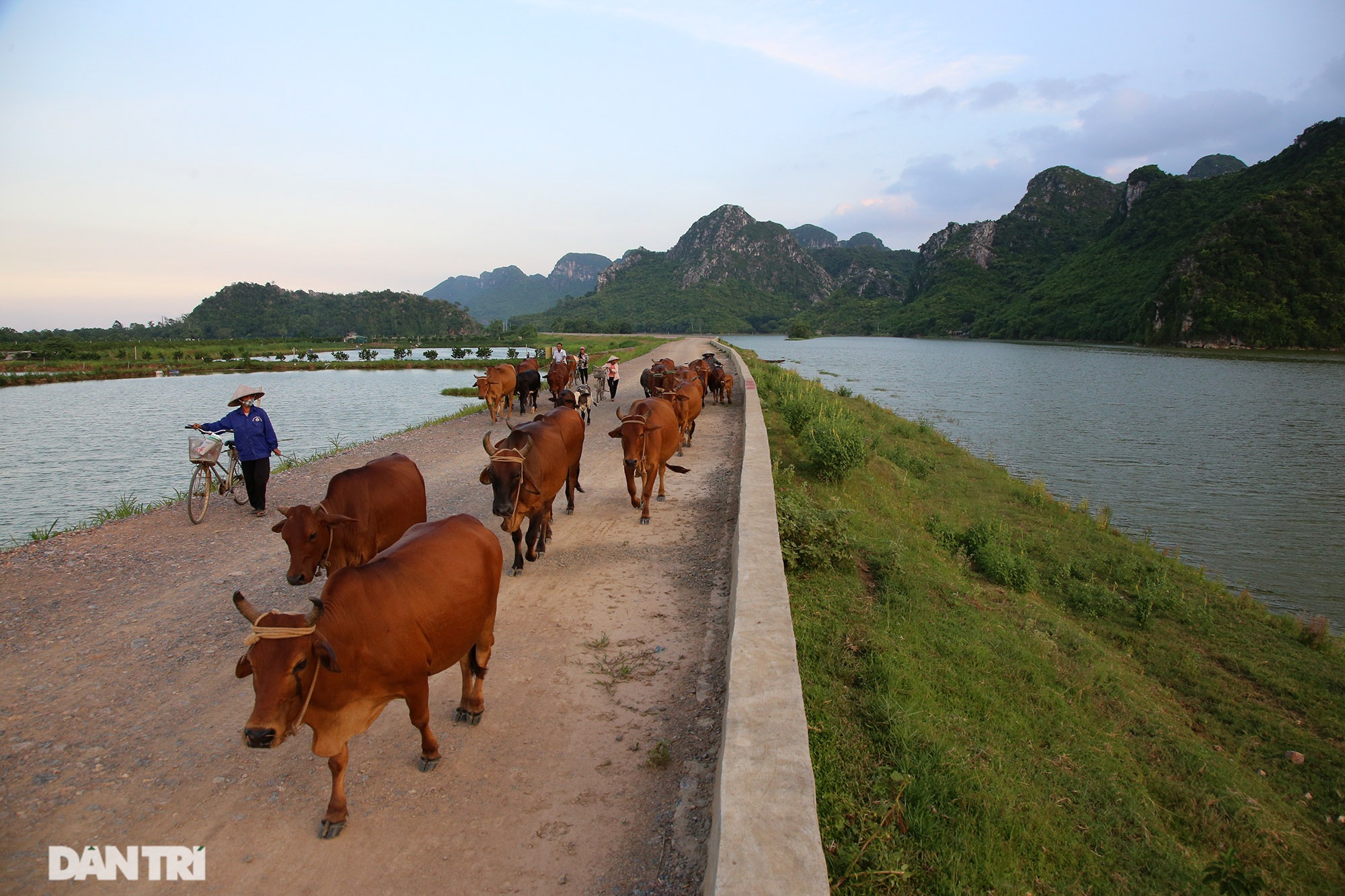 Bình yên những chiều quê ở ngoại thành Hà Nội - 12