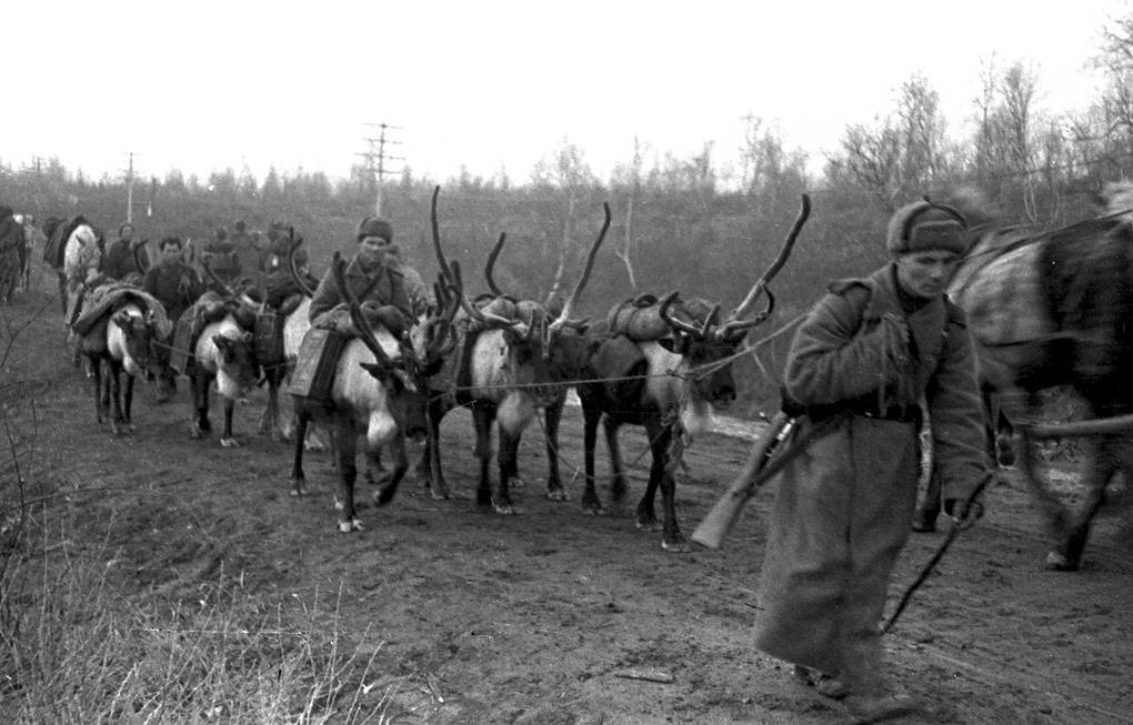 Tiểu đoàn xe tuần lộc: Những người hùng thầm lặng của Hồng quân Liên Xô