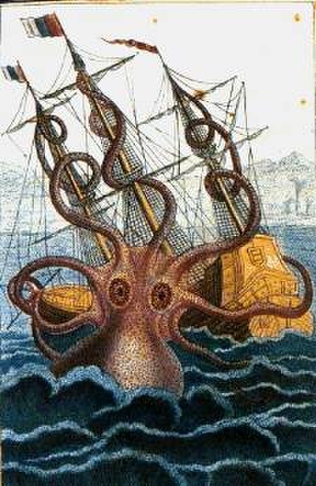 Những điều chưa biết về quái vật Kraken bí ẩn - 5