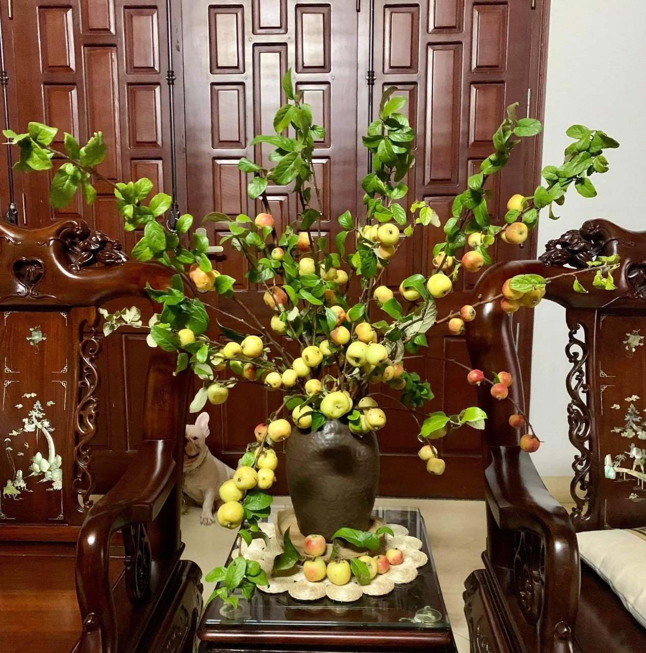 Thay cắm hoa tươi, táo mèo cả cành được ưa chuộng bất ngờ - 2