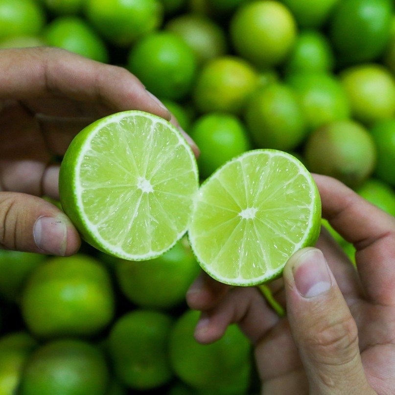Mẹo đuổi kiến tự nhiên, an toàn tại nhà không cần dùng đến thuốc