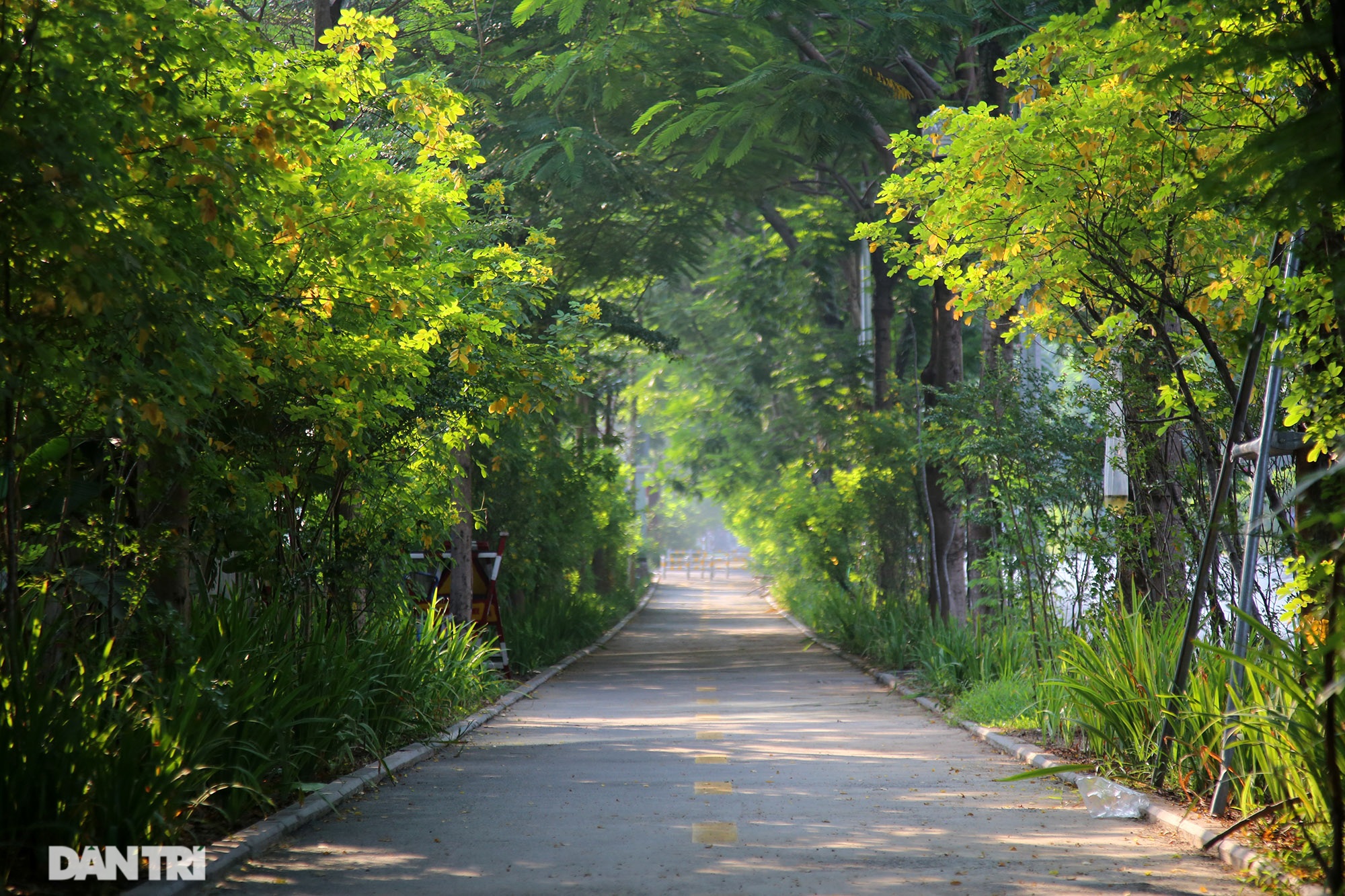 The scenery of Hanoi changes when the weather turns to autumn - 8