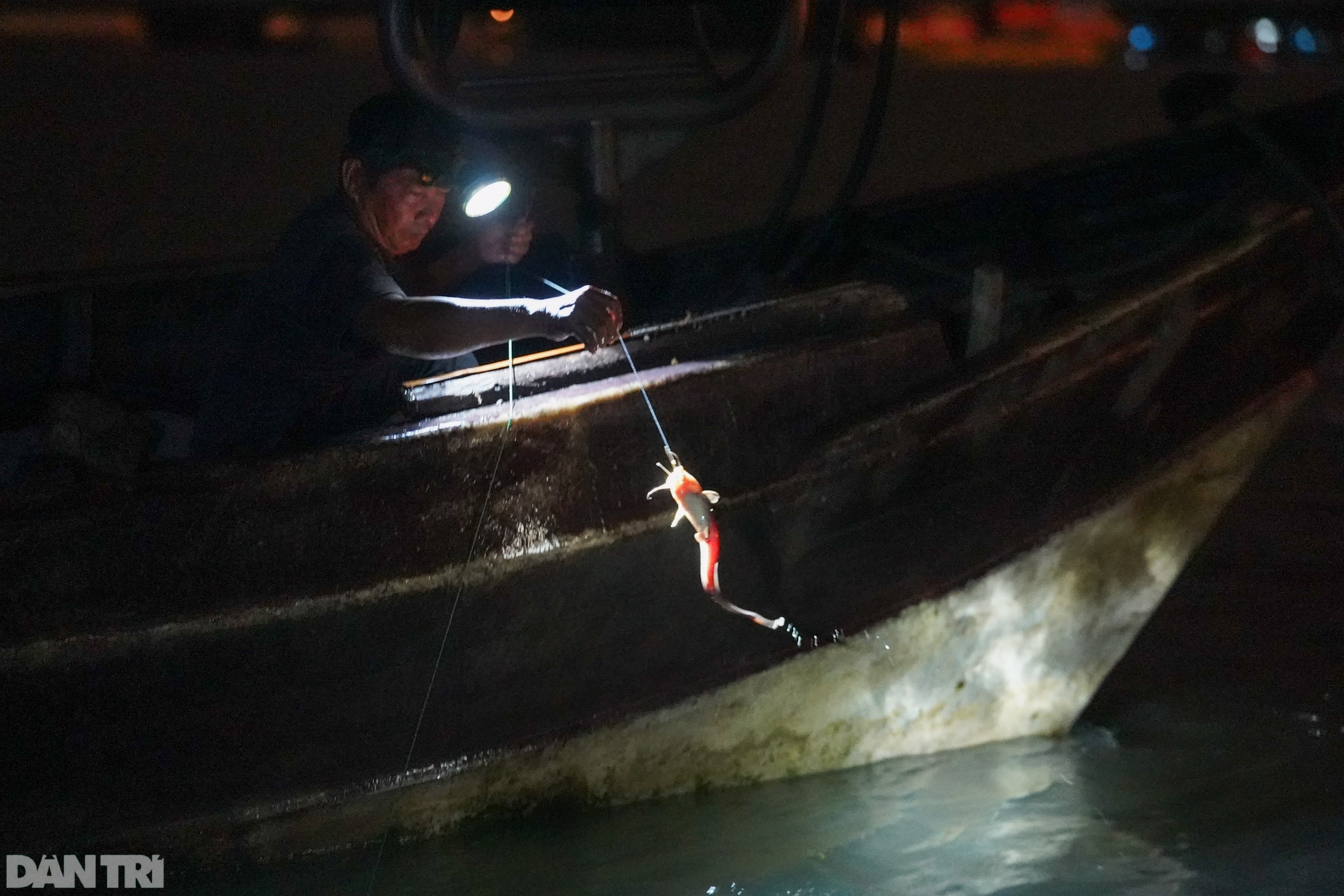 Ngư dân xã đảo vùng xanh TPHCM phấn khởi ra khơi sau 2 tháng cấm biển - 11