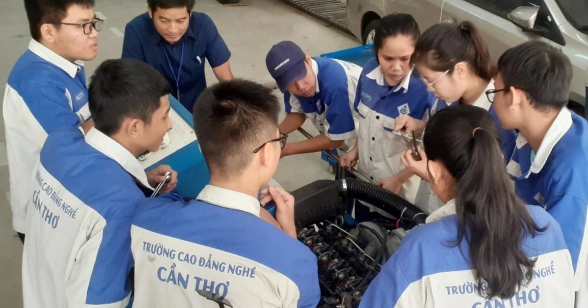 Đề xuất đào tạo cao đẳng 10 ngành nghề cho học sinh tốt nghiệp THCS - 2