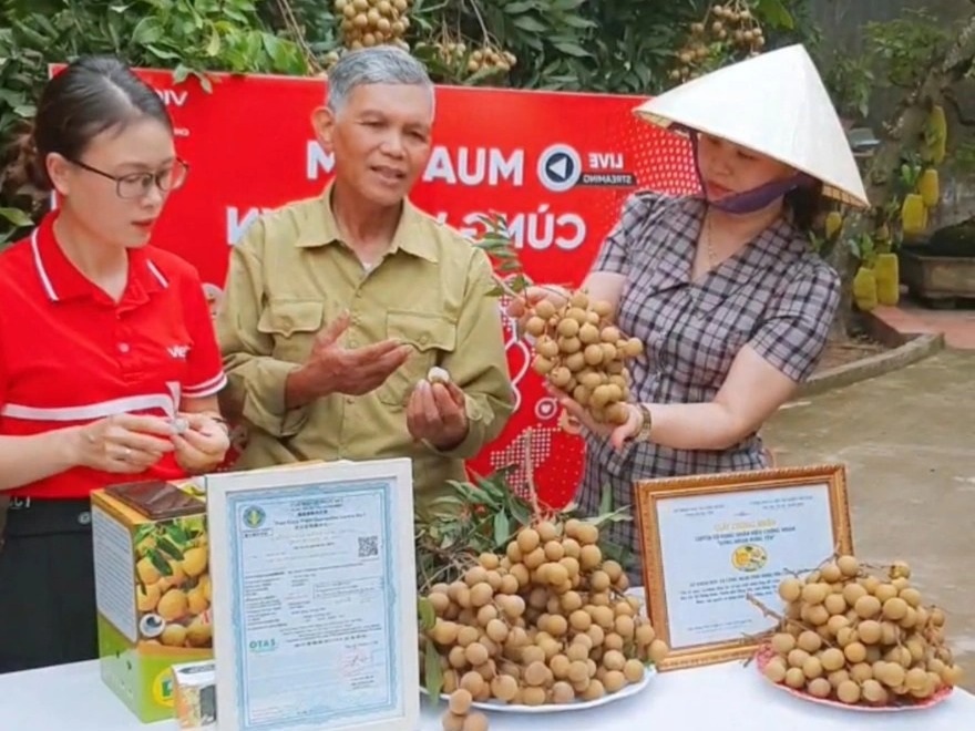 Bí quyết bán 2 tấn nhãn sau một buổi bán livestream của lão nông 70 tuổi - 2 Bí quyết bán 2 tấn nhãn sau một buổi bán livestream của lão nông 70 tuổi - 2