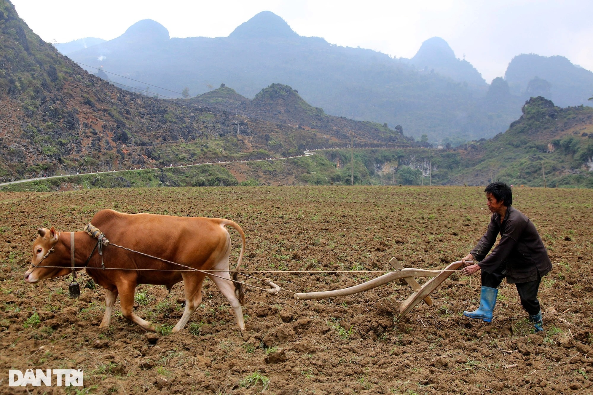 Hà Giang bốn mùa hoang dã - 15 Hà Giang bốn mùa hoang dã - 15