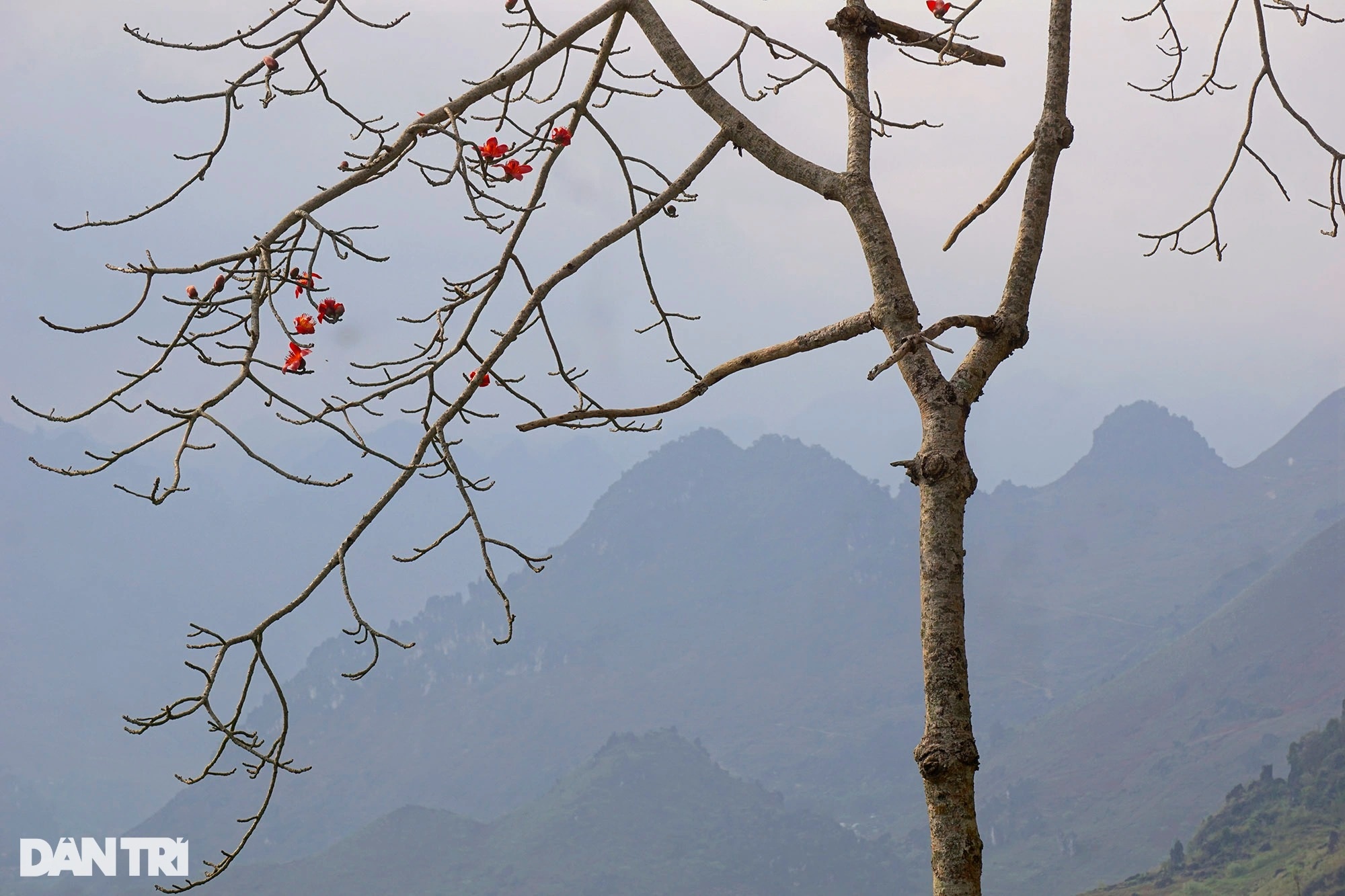 Ha Giang four wild seasons - 3