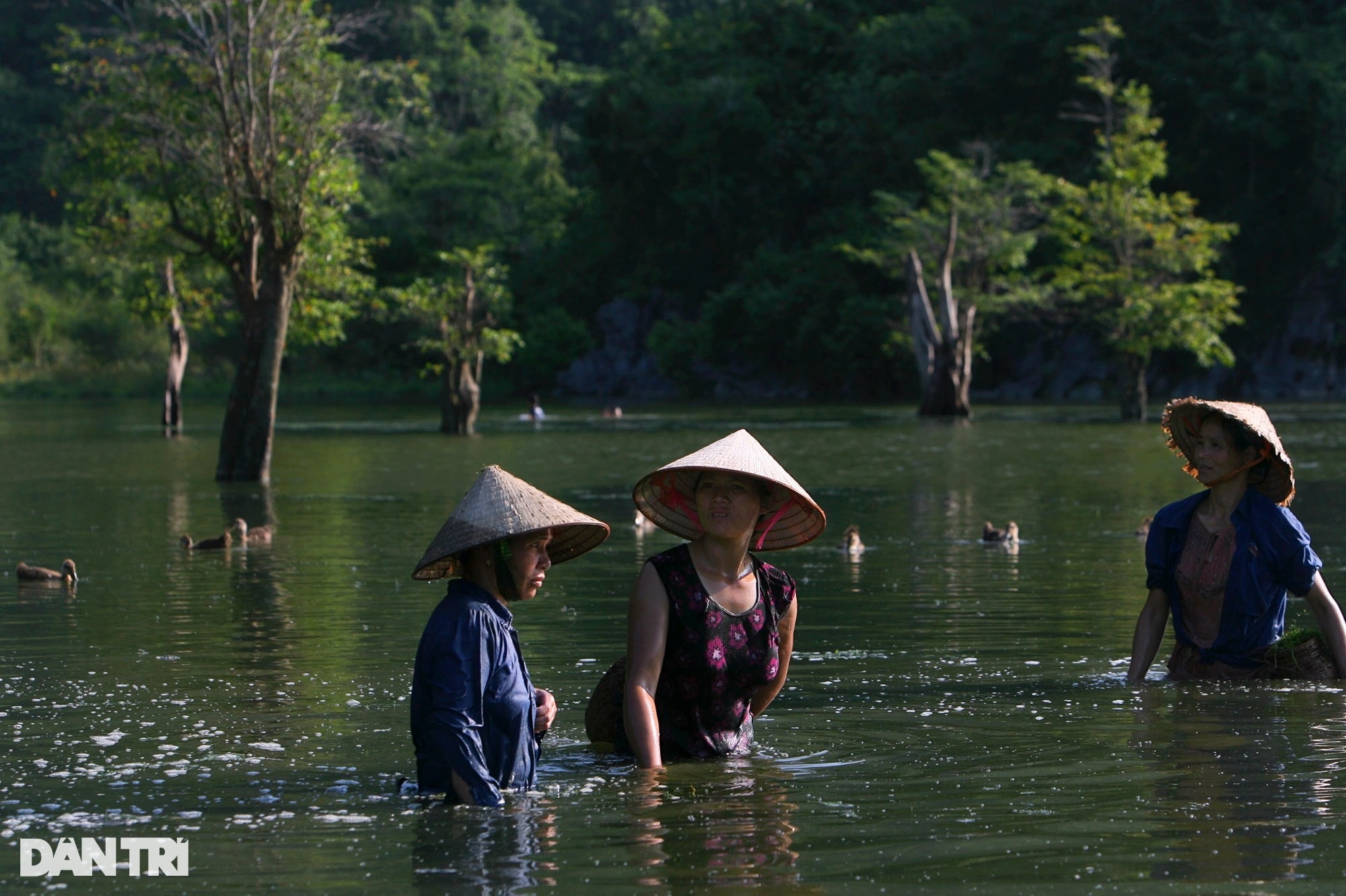 Ha Giang four wild seasons - 9