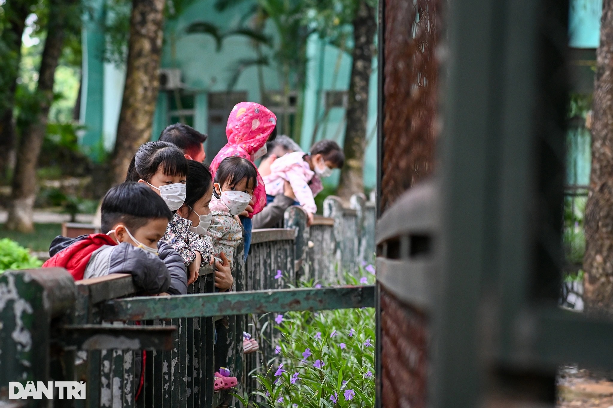 Vườn thú Hà Nội vắng vẻ ngày đón khách trở lại - 6 Vườn thú Hà Nội vắng vẻ ngày đón khách trở lại - 6