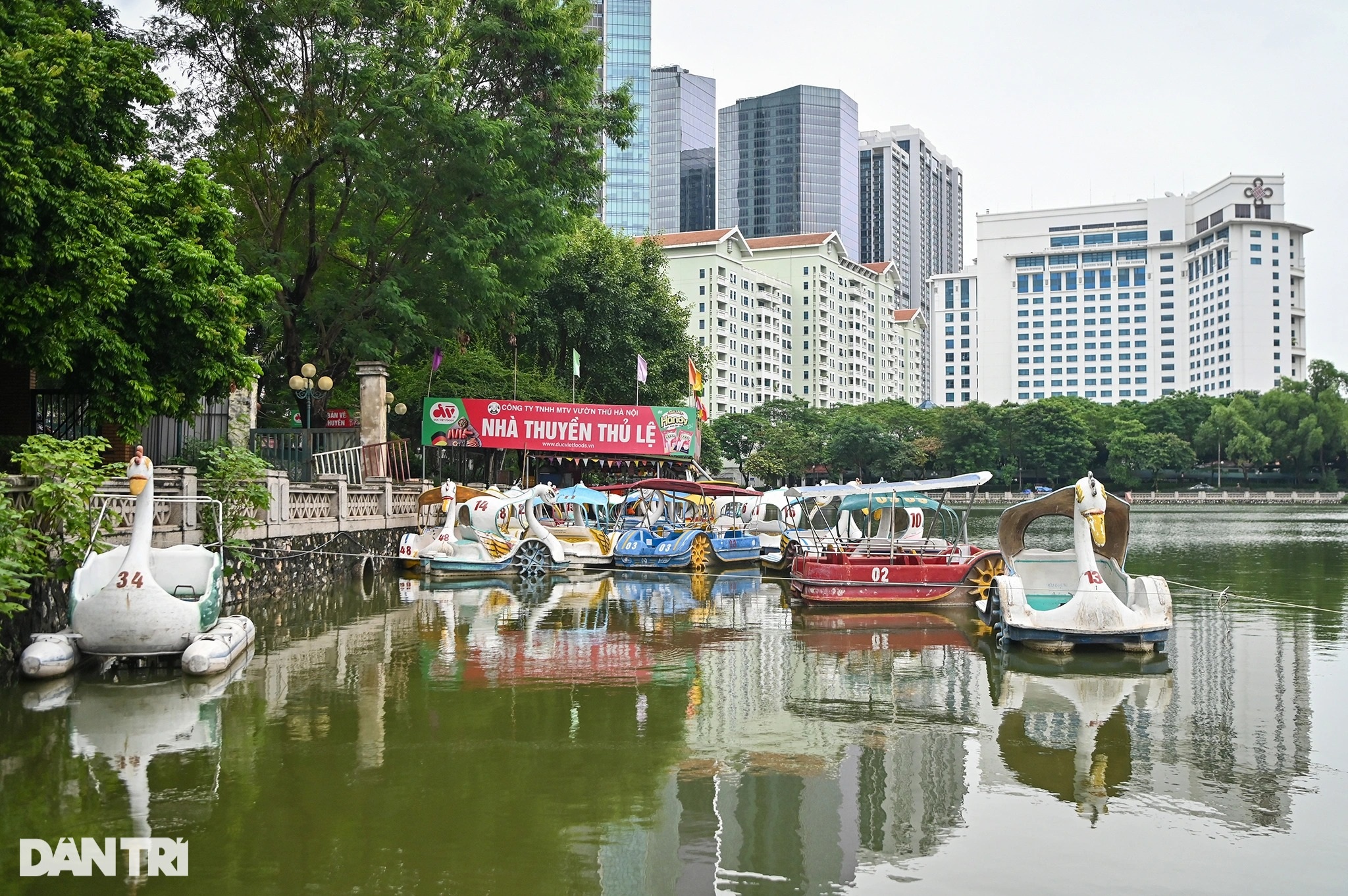 Vườn thú Hà Nội vắng vẻ ngày đón khách trở lại - 8 Vườn thú Hà Nội vắng vẻ ngày đón khách trở lại - 8