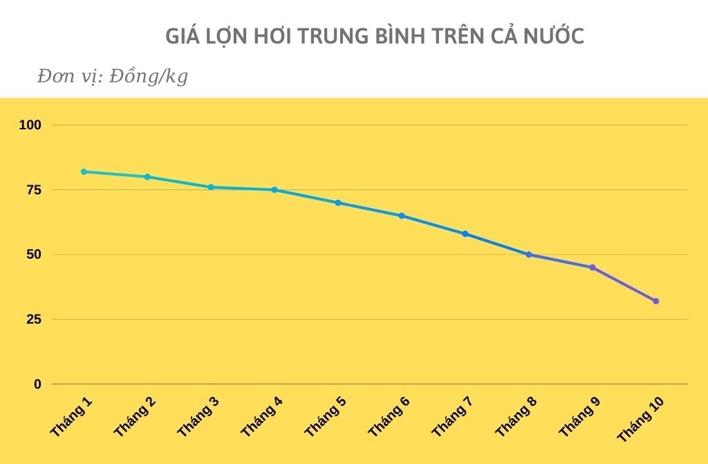 Giá thịt lợn đã nhảy múa ra sao trong 10 tháng qua? - 1