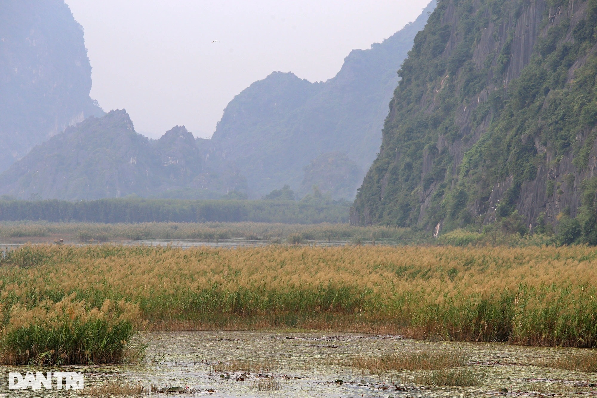 Phong cảnh hoang sơ của vùng đất ngập nước lớn nhất châu thổ sông Hồng - 12