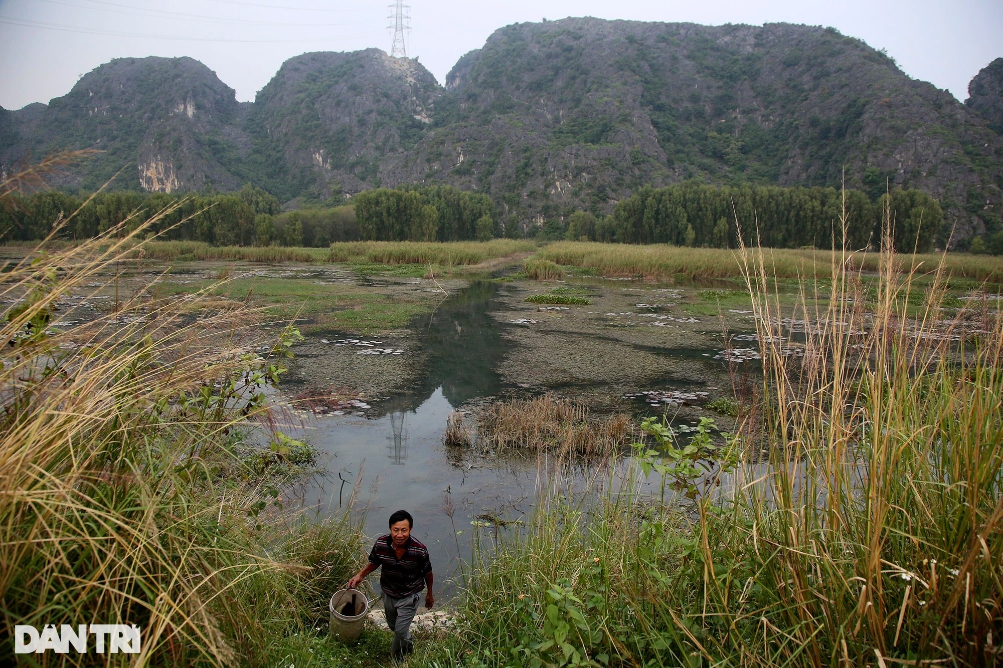 Phong cảnh hoang sơ của vùng đất ngập nước lớn nhất châu thổ sông Hồng - 14