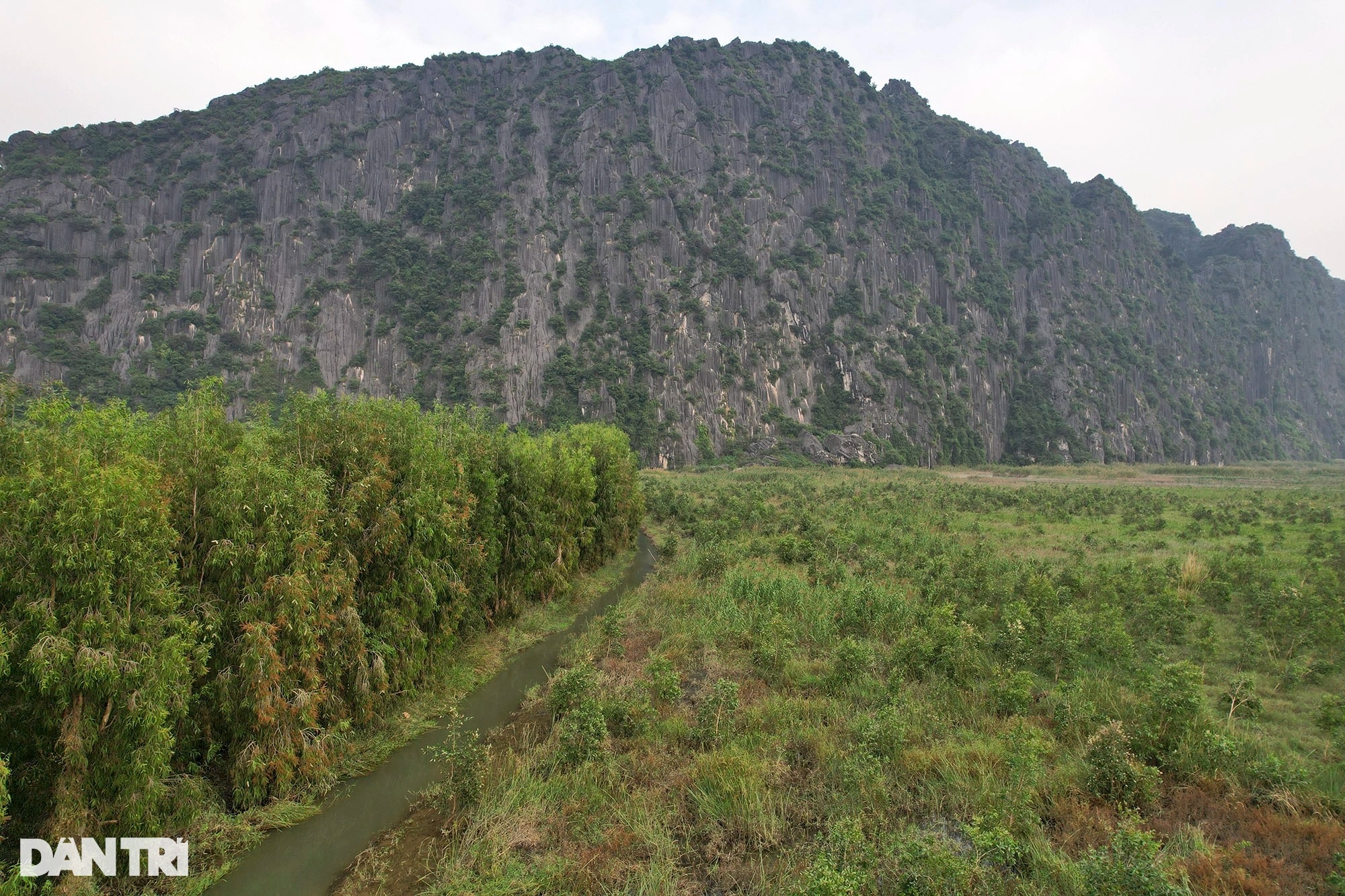 Phong cảnh hoang sơ của vùng đất ngập nước lớn nhất châu thổ sông Hồng - 3