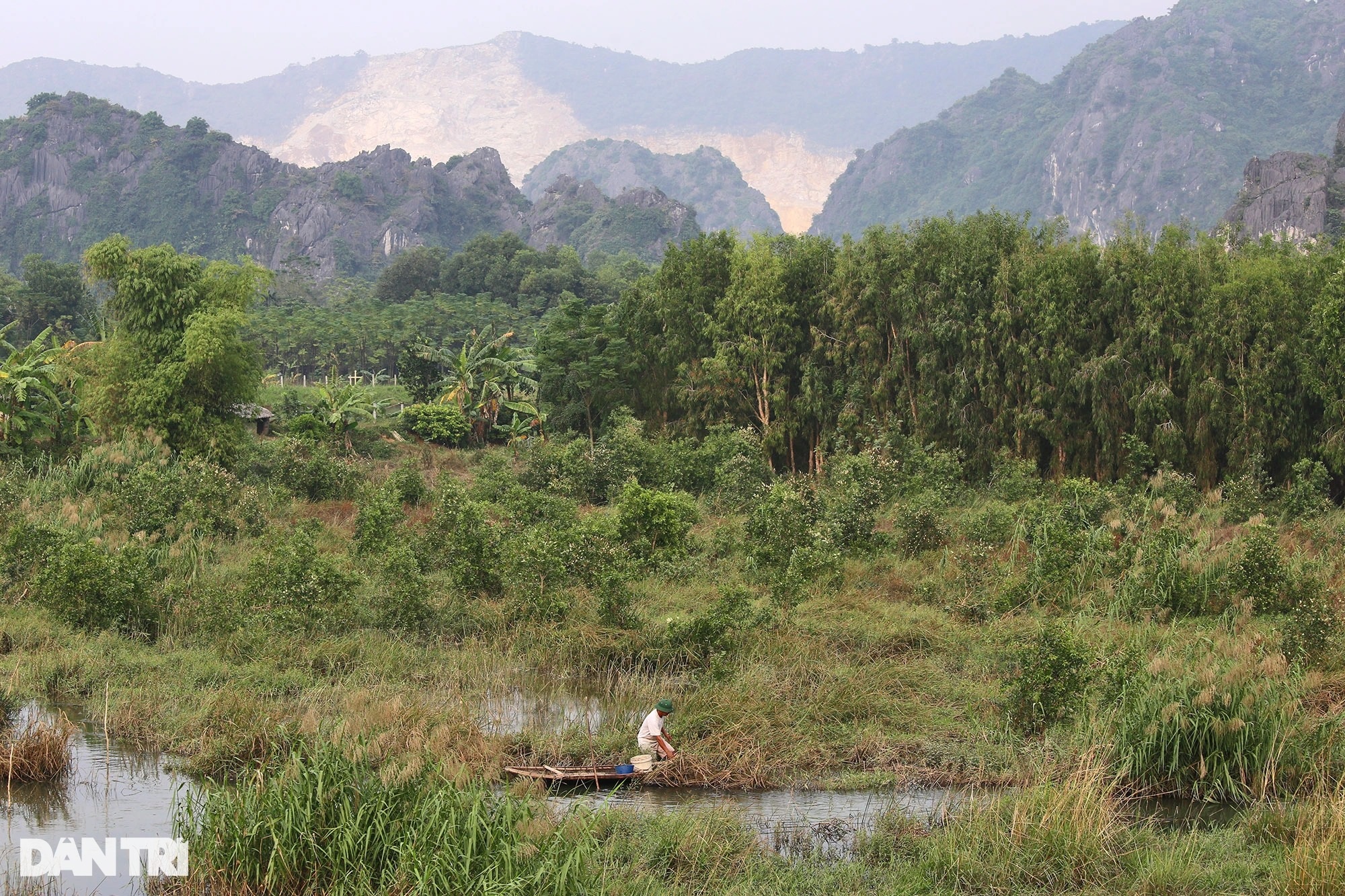 Phong cảnh hoang sơ của vùng đất ngập nước lớn nhất châu thổ sông Hồng - 5