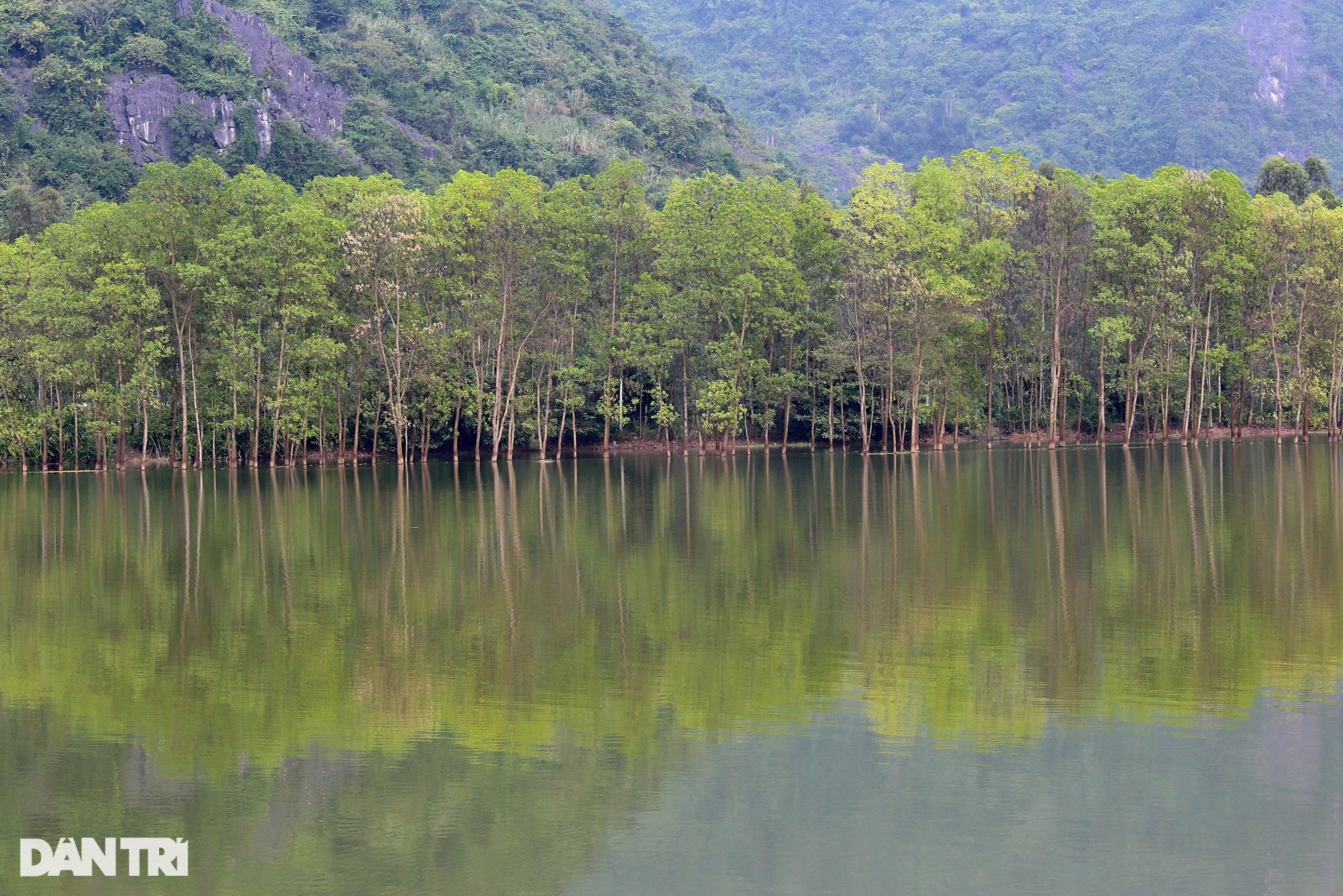 Phong cảnh hoang sơ của vùng đất ngập nước lớn nhất châu thổ sông Hồng - 8