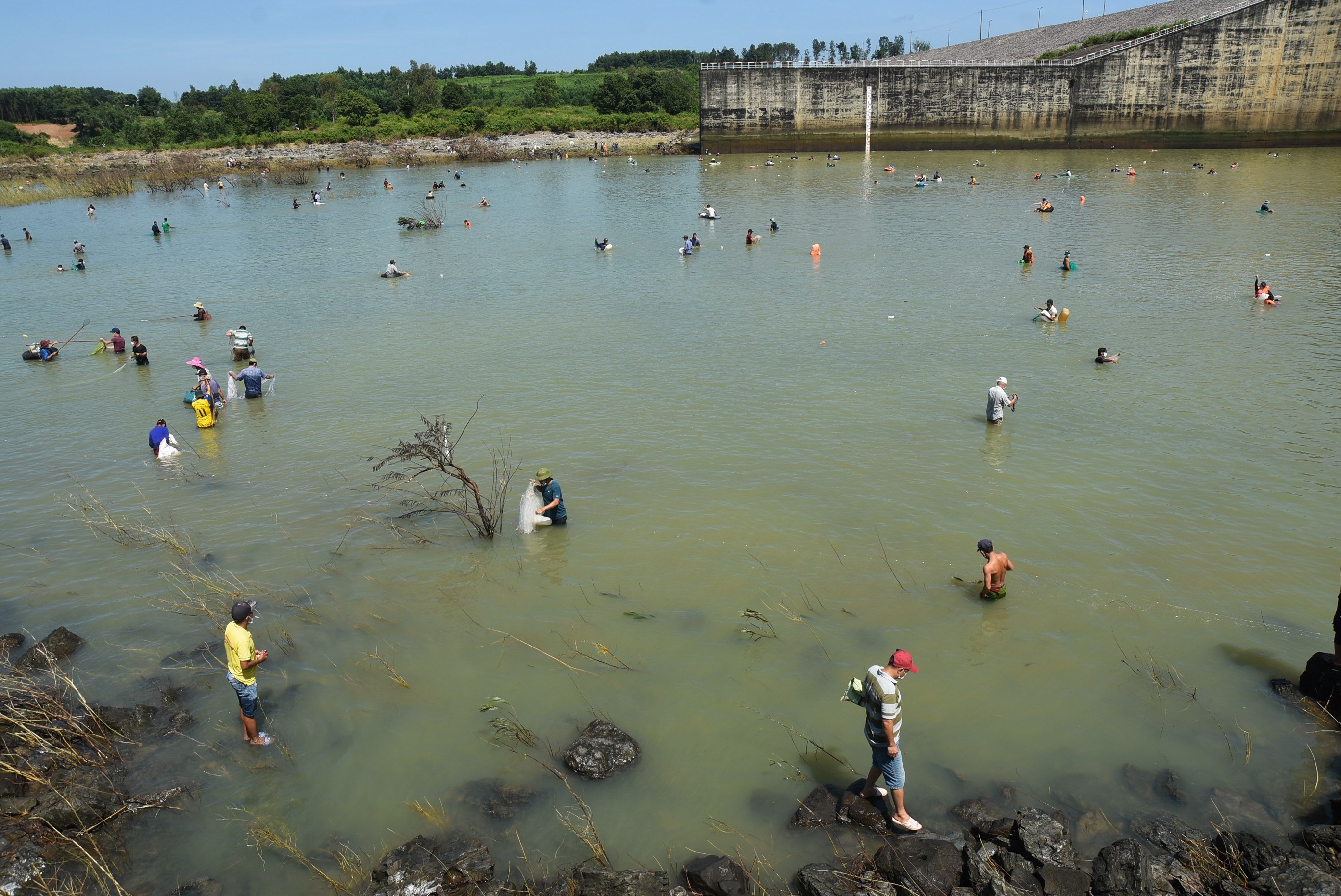 Hàng nghìn người dân cùng lội nước bắt cá khủng ở hồ thủy điện Trị An - 1