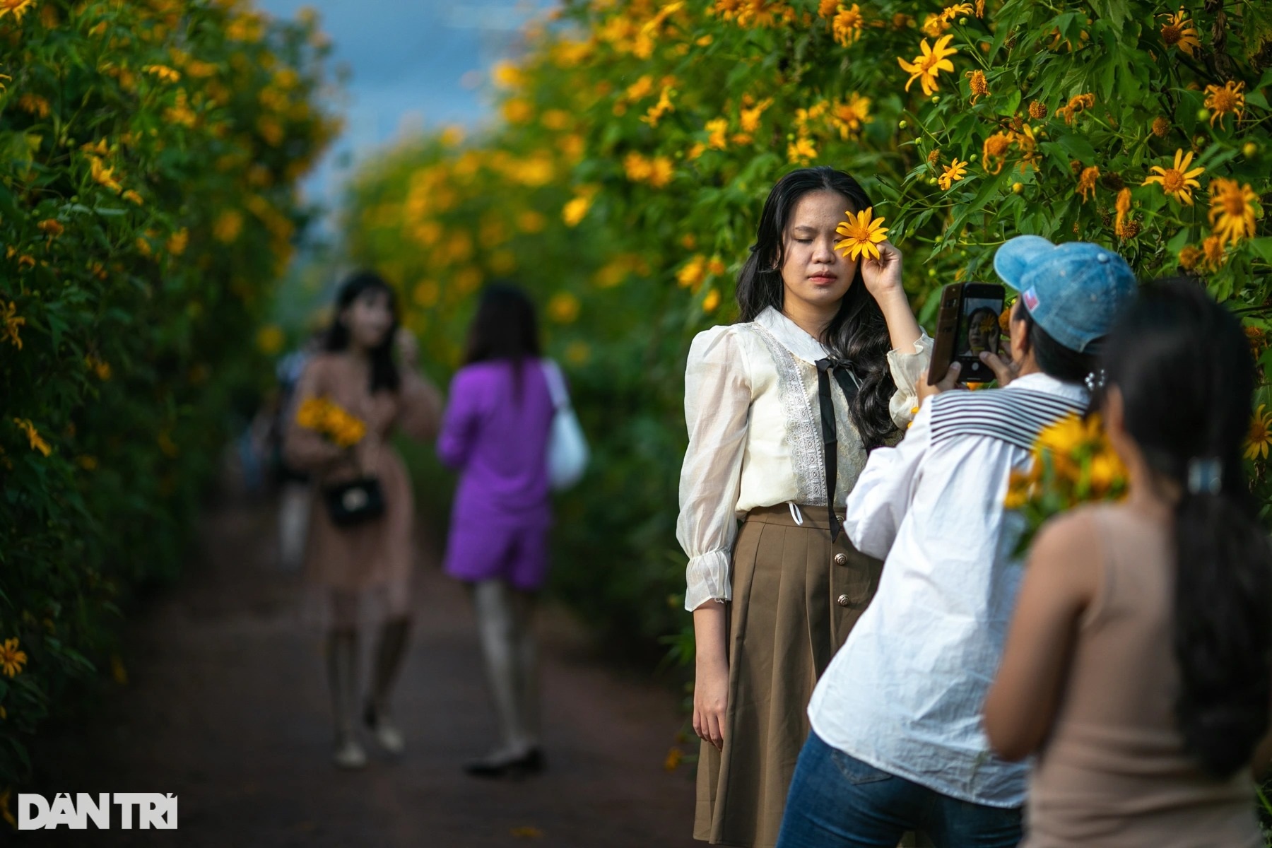Wild sunflowers bloom on the hillside, young people flock to the outskirts of Da Lat to check-in - 28