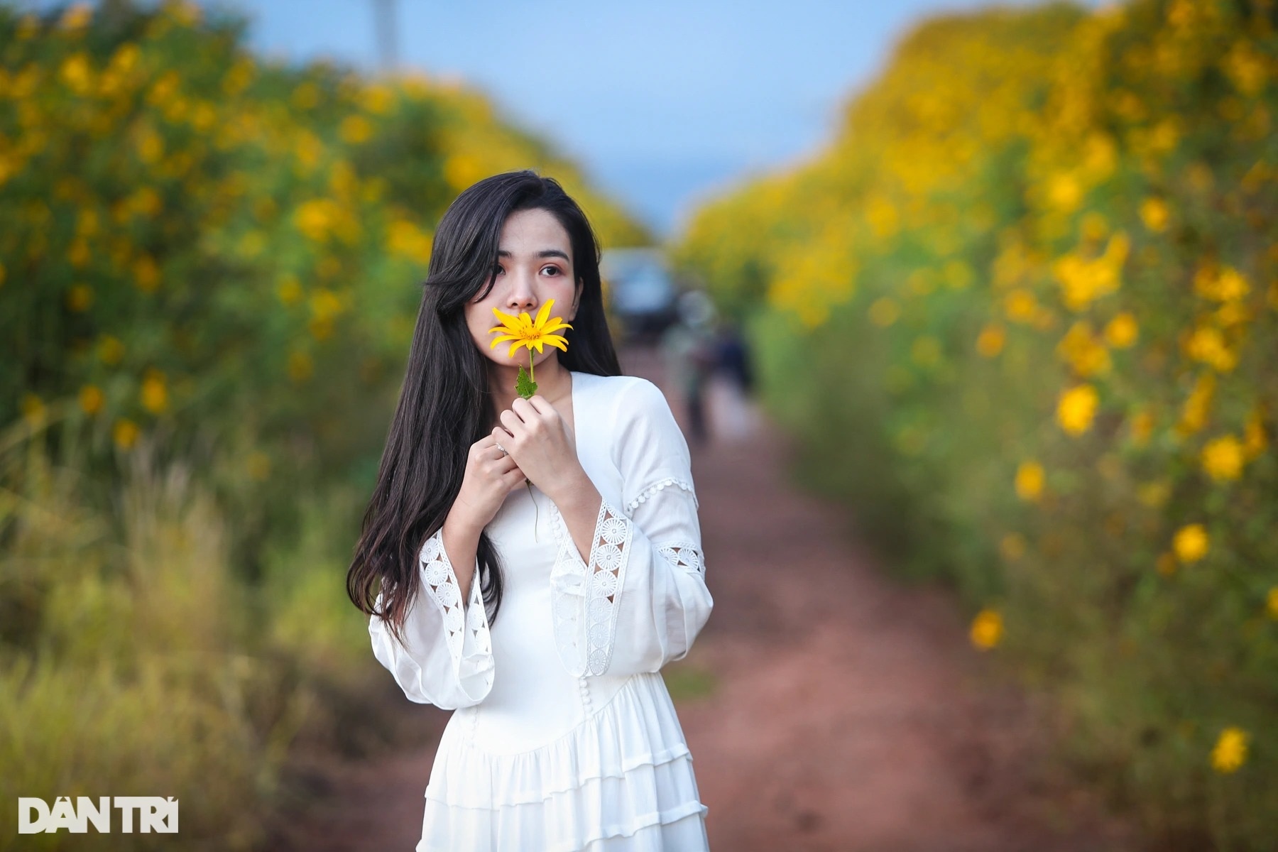 Wild sunflowers bloom on the hillside, young people flock to the outskirts of Da Lat to check-in - 18