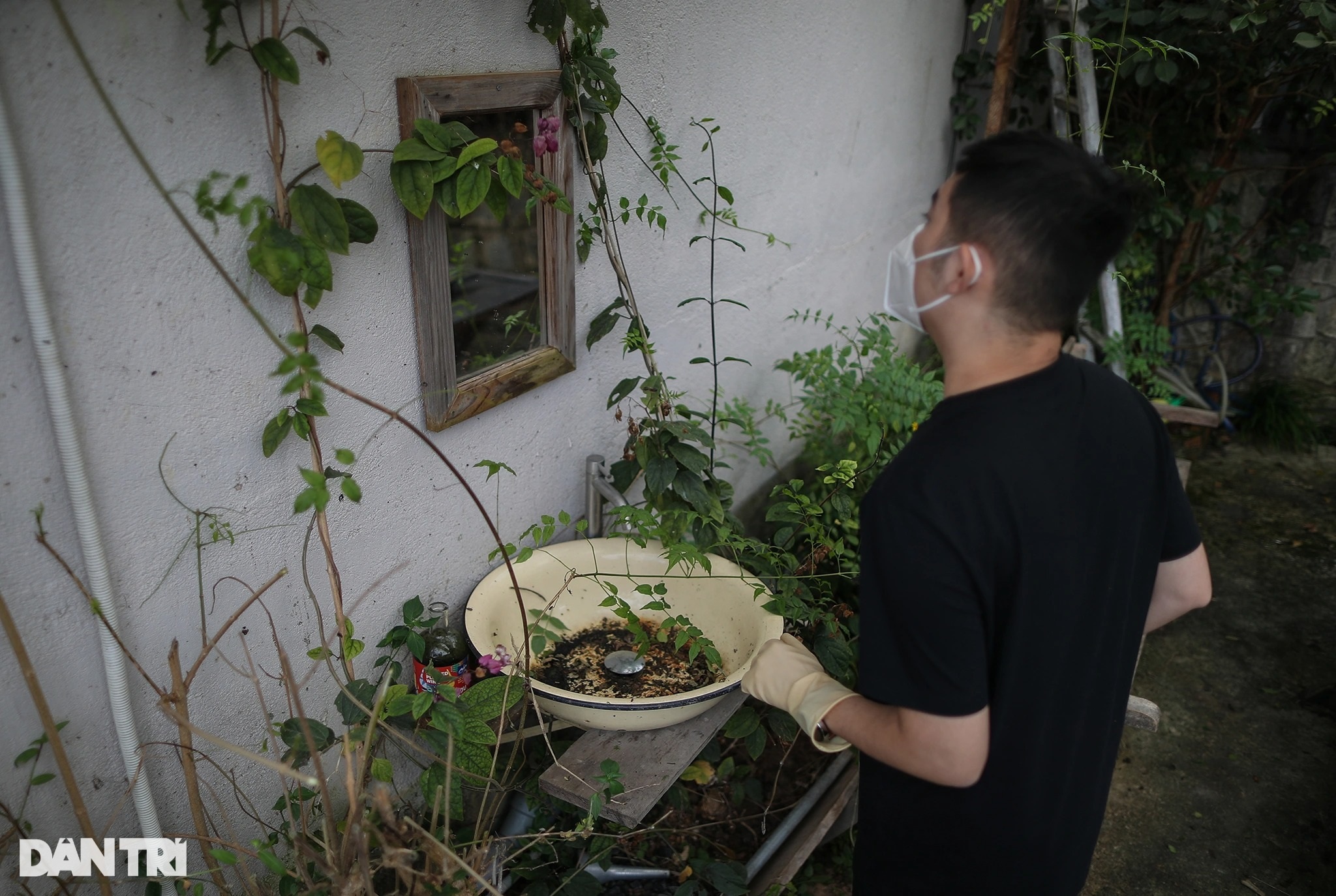 Nhiều Homestay ở Đà Lạt cỏ mọc um tùm, dây leo và rêu giăng kín - 5 Nhiều Homestay ở Đà Lạt cỏ mọc um tùm, dây leo và rêu giăng kín - 5