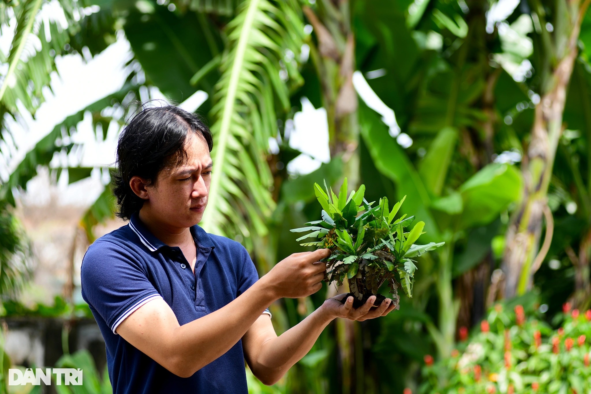 Chàng thợ hồ &quot;phù phép&quot; đồ vật bỏ đi thành vườn cây trái sum suê siêu nhỏ - Ảnh 12.