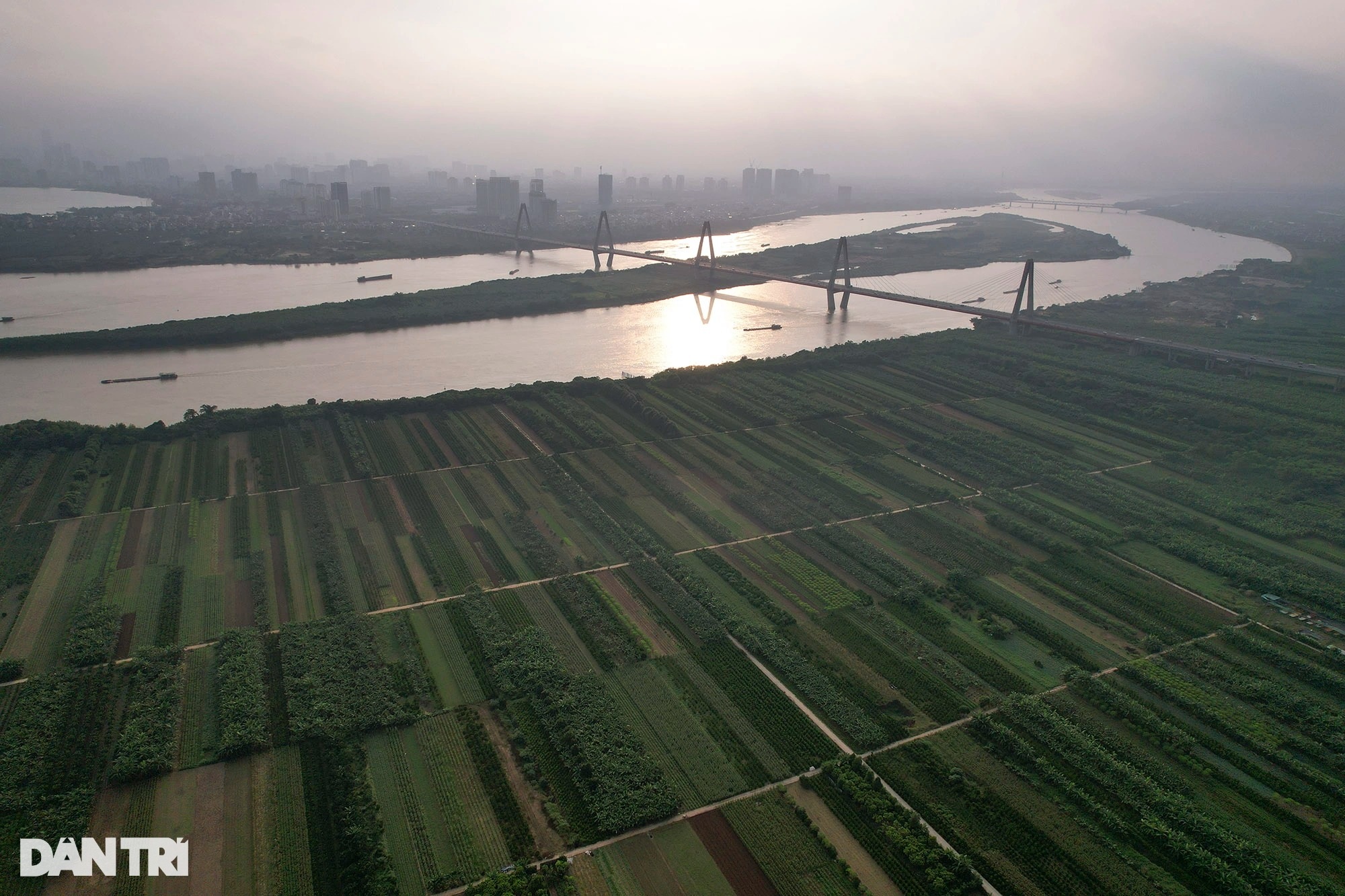 Unspoiled Red River mudflats without human footprints in Hanoi - 11