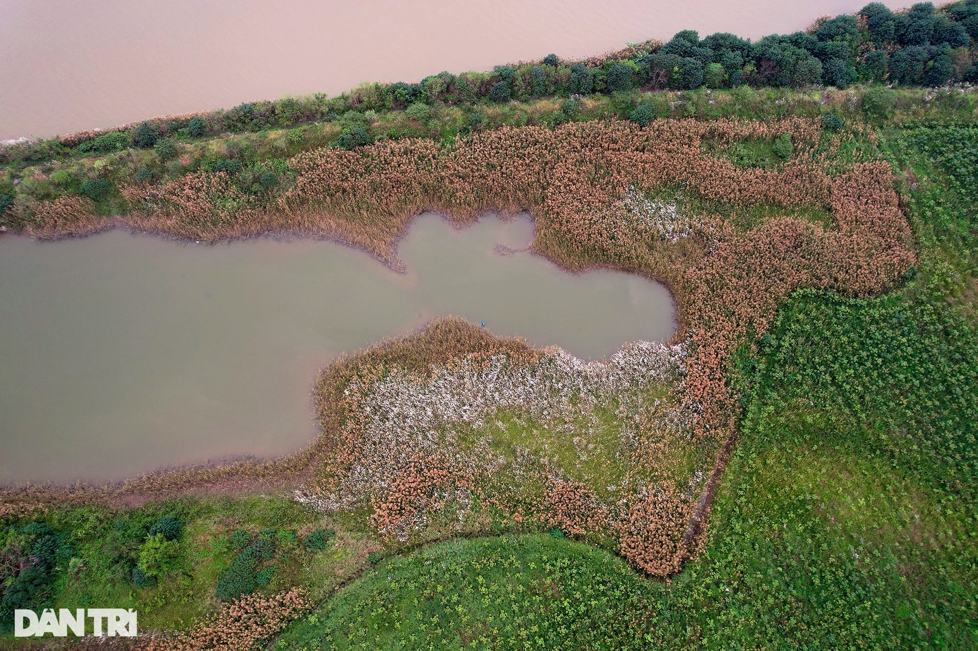 Unspoiled Red River mudflats without human footprints in Hanoi - 12