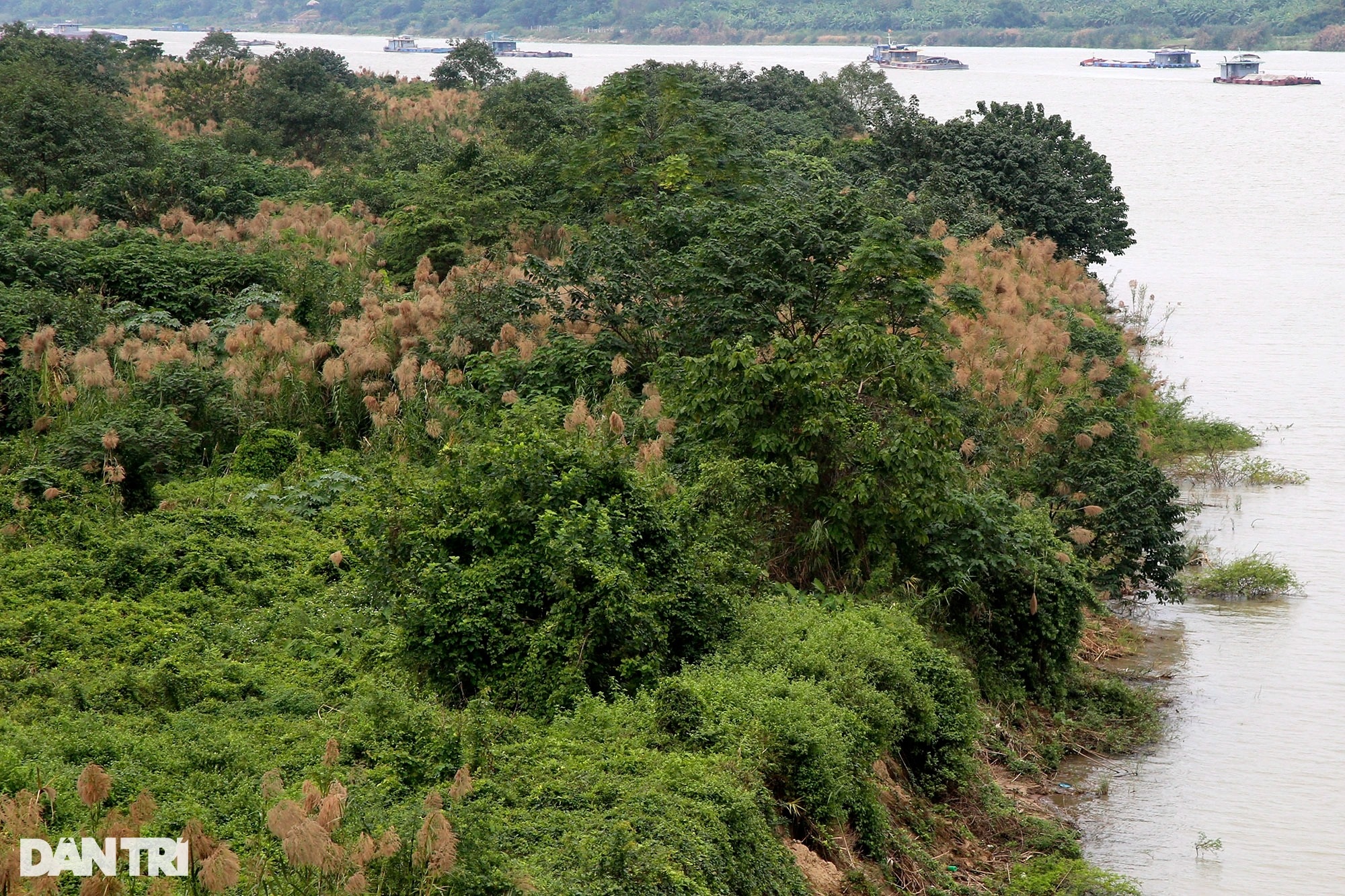 Unspoiled Red River mudflats without human footprints in Hanoi - 14