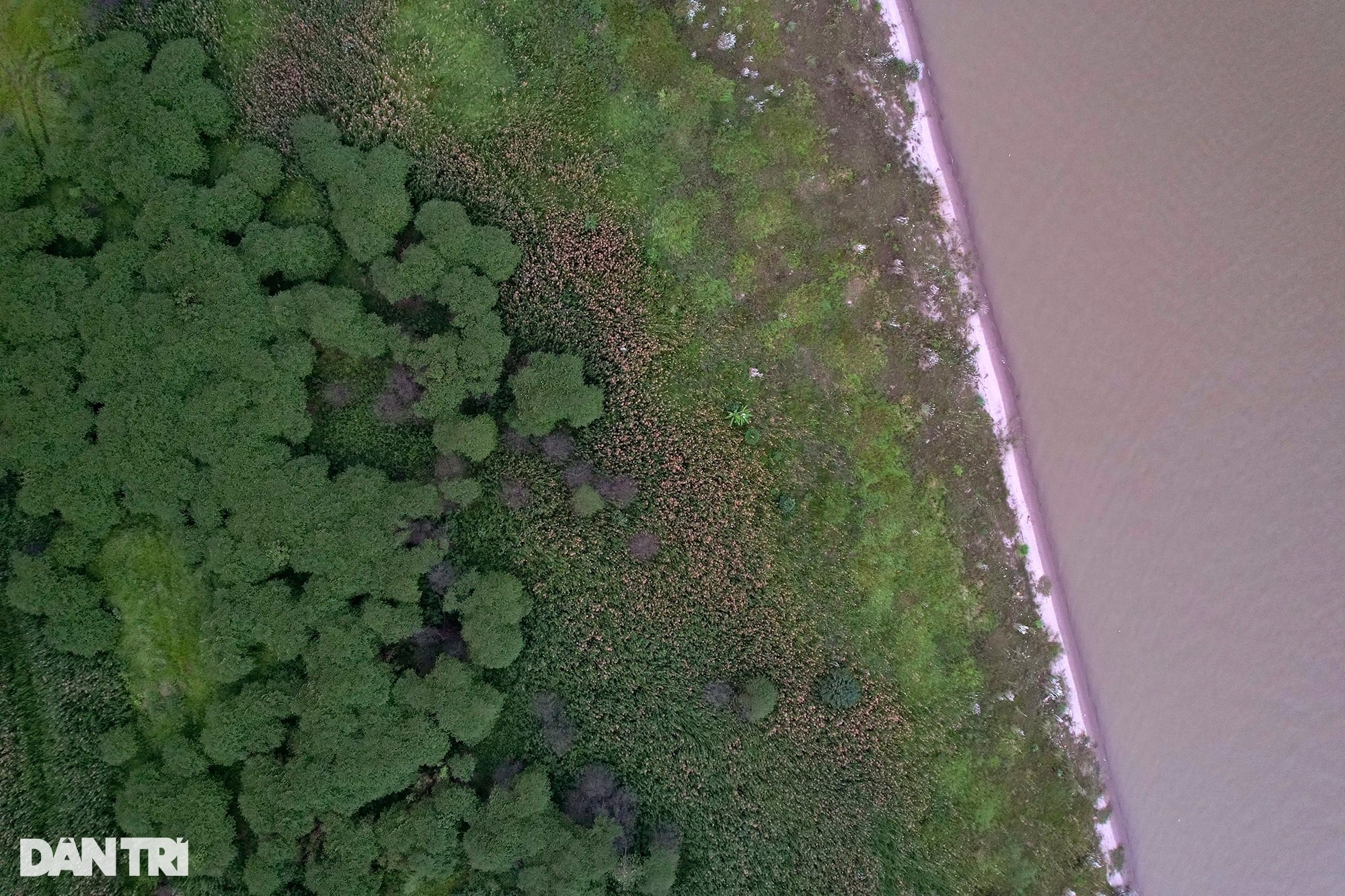 The wild Red River mudflats are empty of human footprints in Hanoi - 8