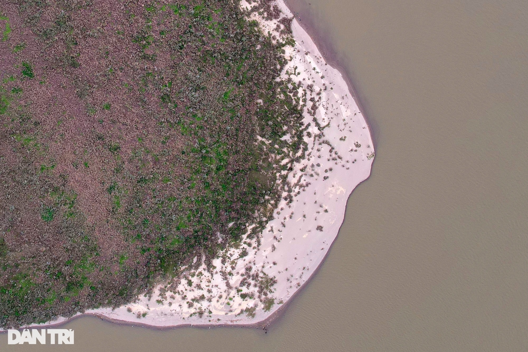 Unspoiled Red River alluvial grounds without human footprints in Hanoi - 9