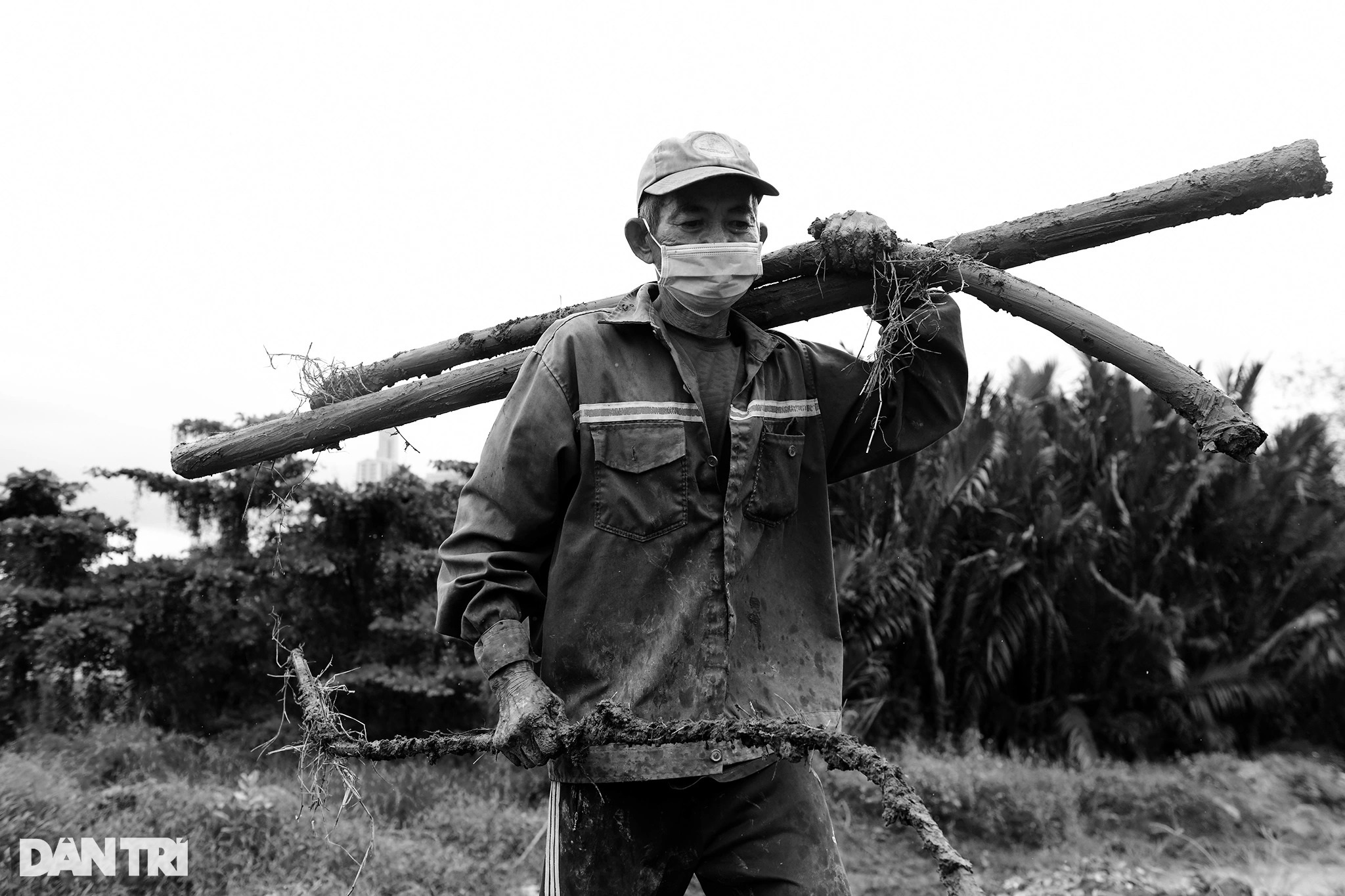 Ông lão 65 tuổi hơn 20 năm mót sắt ở Sài Gòn - 2